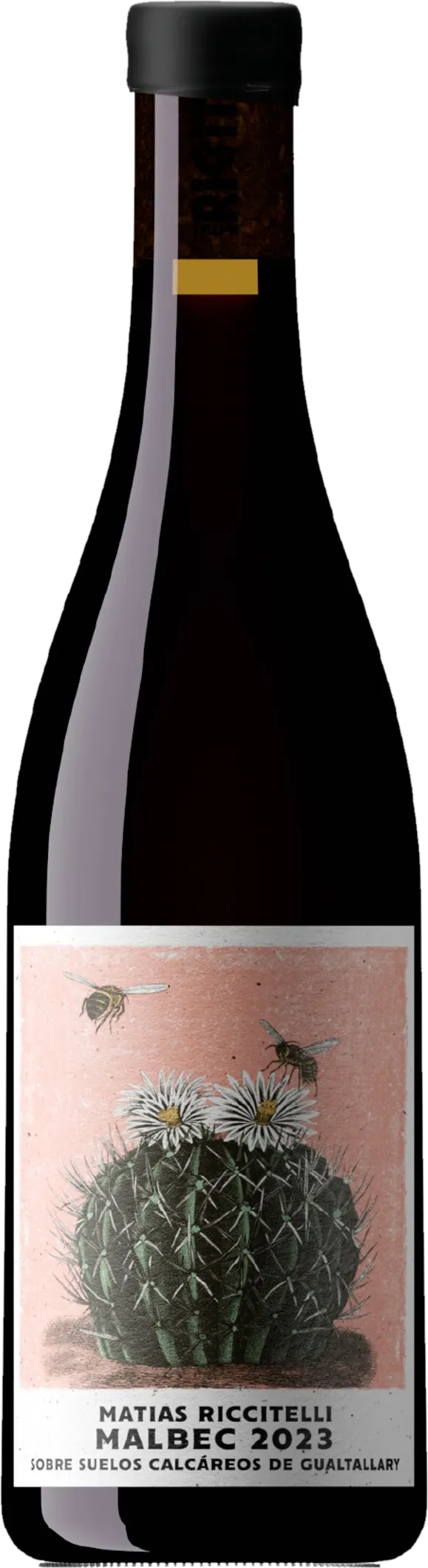 Vrijstaande rode wijnfles – Matías Riccitelli – Gualtallary Cabernet Franc (2022) zonder achtergrond