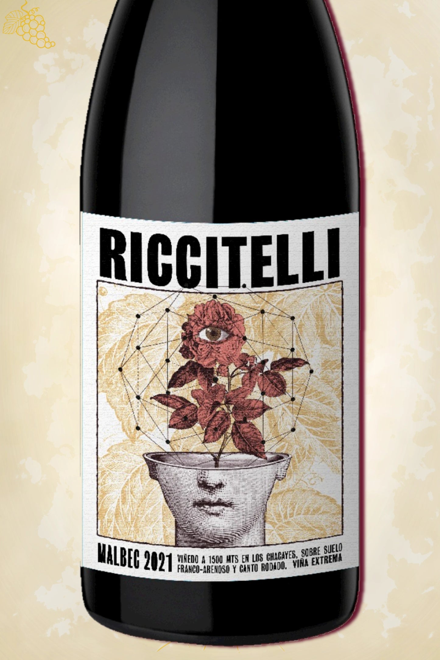 Close-up label Riccitelli Viñas Extremas Malbec 2021 – terroir Los Chacayes