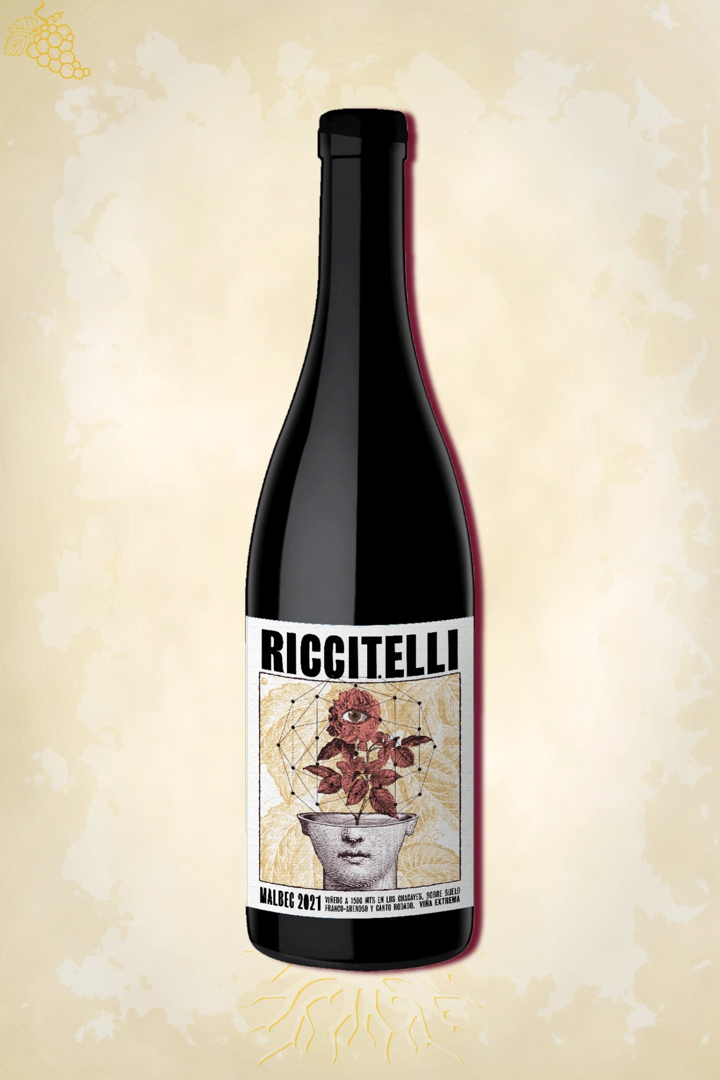Riccitelli Viñas Extremas Malbec 2021 – rode wijn uit Los Chacayes, Mendoza
