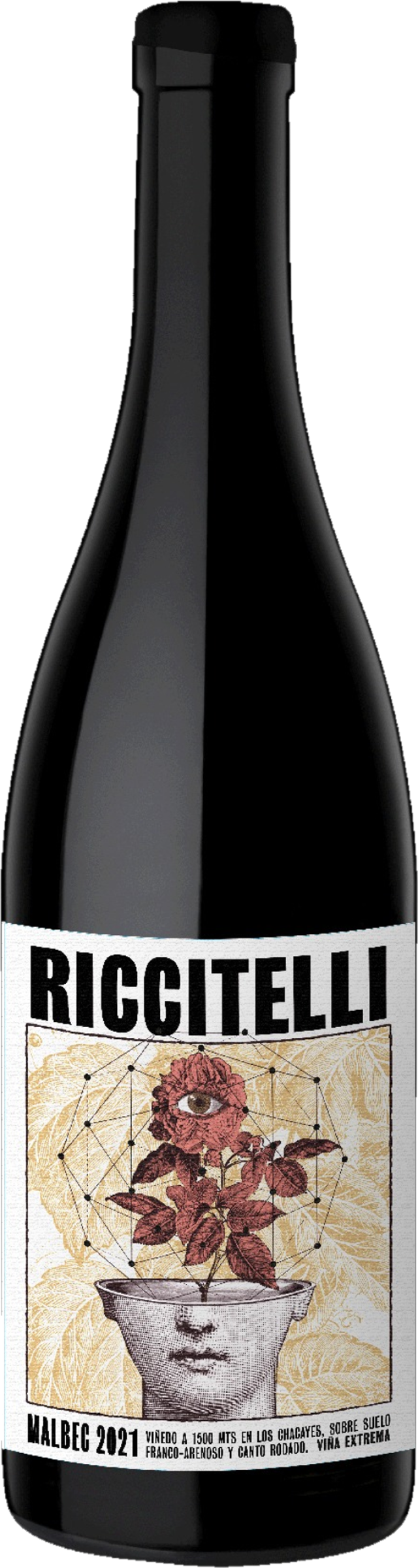 Riccitelli Viñas Extremas Malbec 2021 fles transparant – premium rode wijn uit Uco Valley