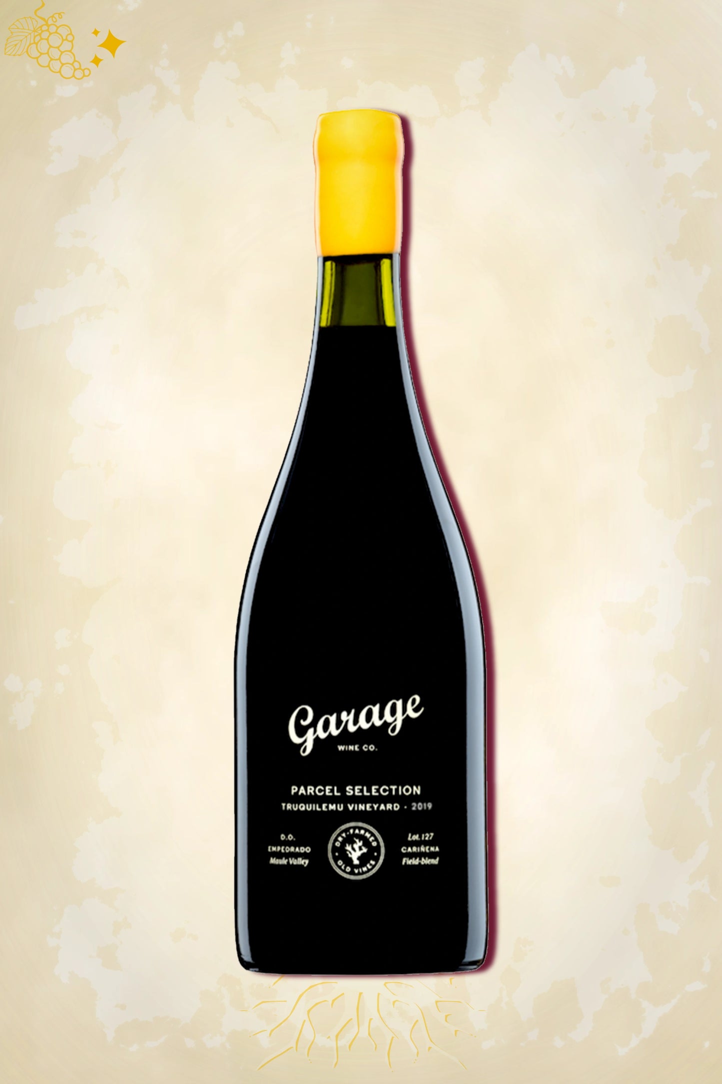 Garage Wine Co. Truquilemu Carignan Blend 2019 – rode wijn uit Maule Valley, Chili