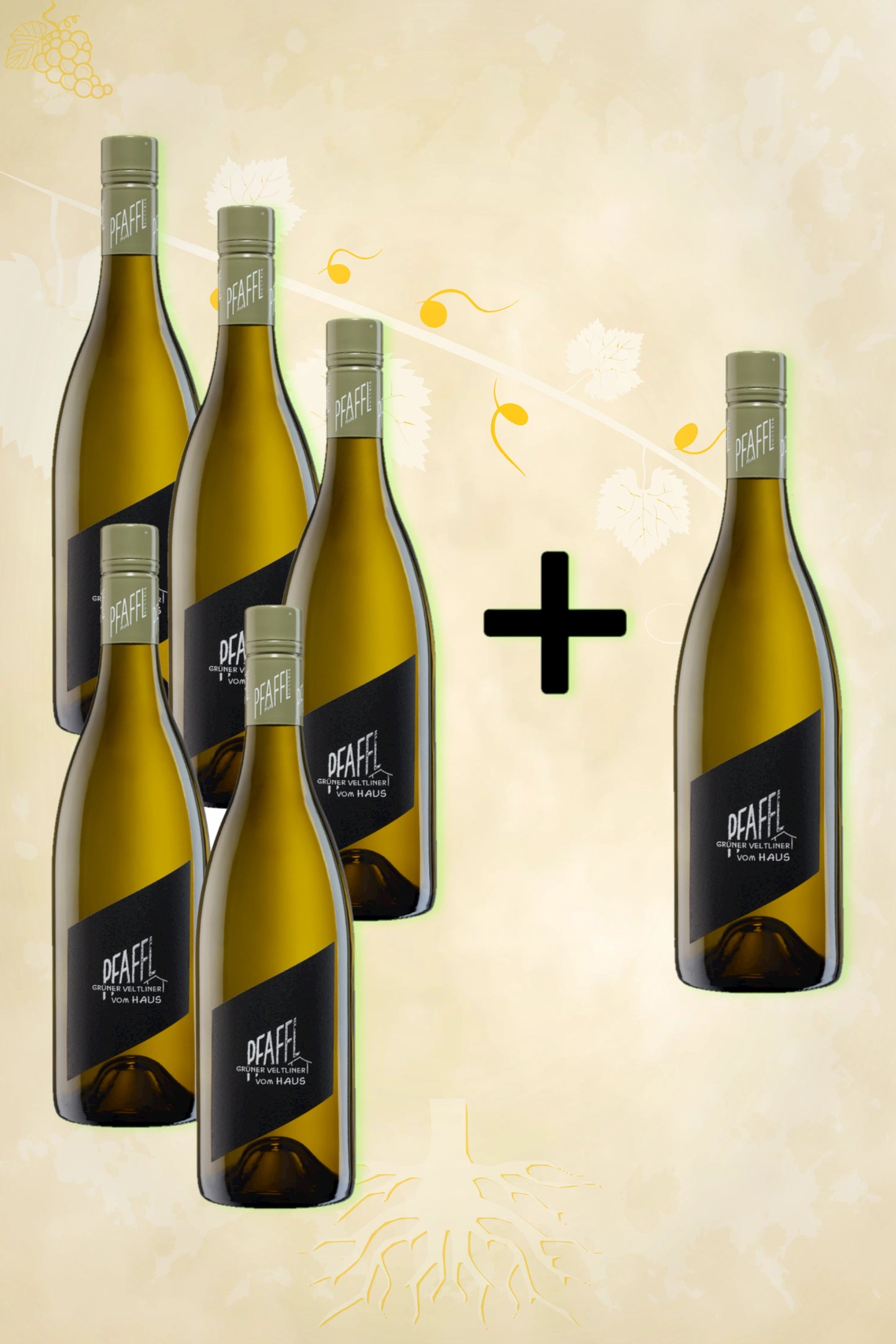 Pfaffl – Grüner Veltliner Vom Haus (2024) 5 + 1 Gratis