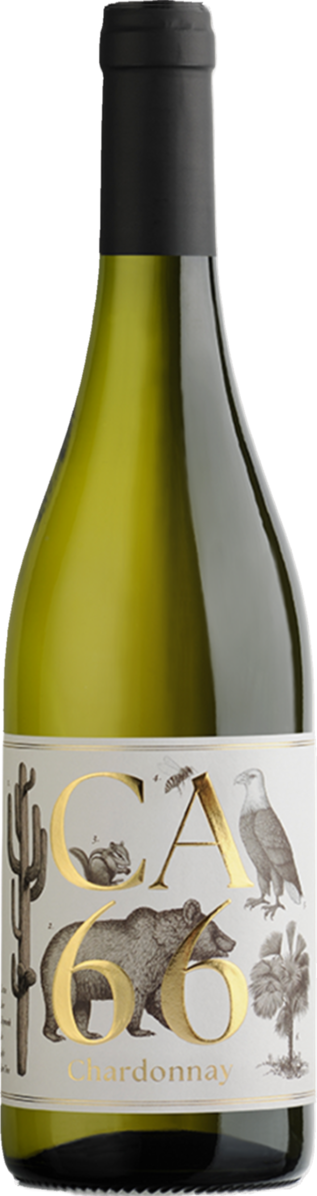 Weingut Hannes Sabathi Chardonnay 2022 tegen lichte achtergrond – biologische koelklimaat witte wijn