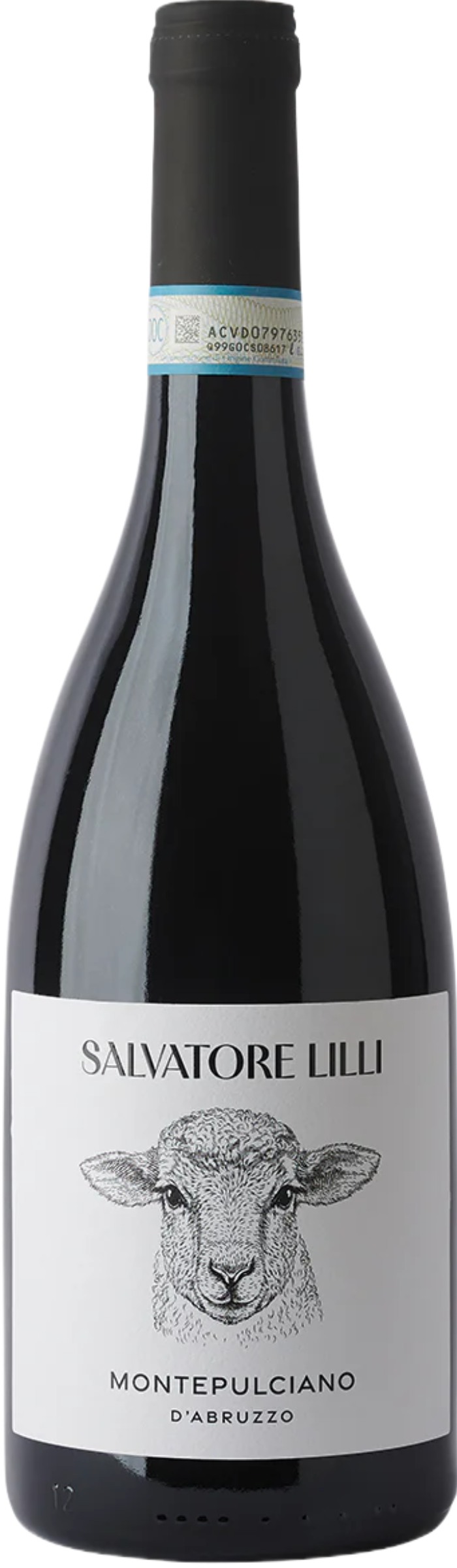 Salvatore Lilli Montepulciano d'Abruzzo 2023 tegen bordeaux achtergrond – rode wijn