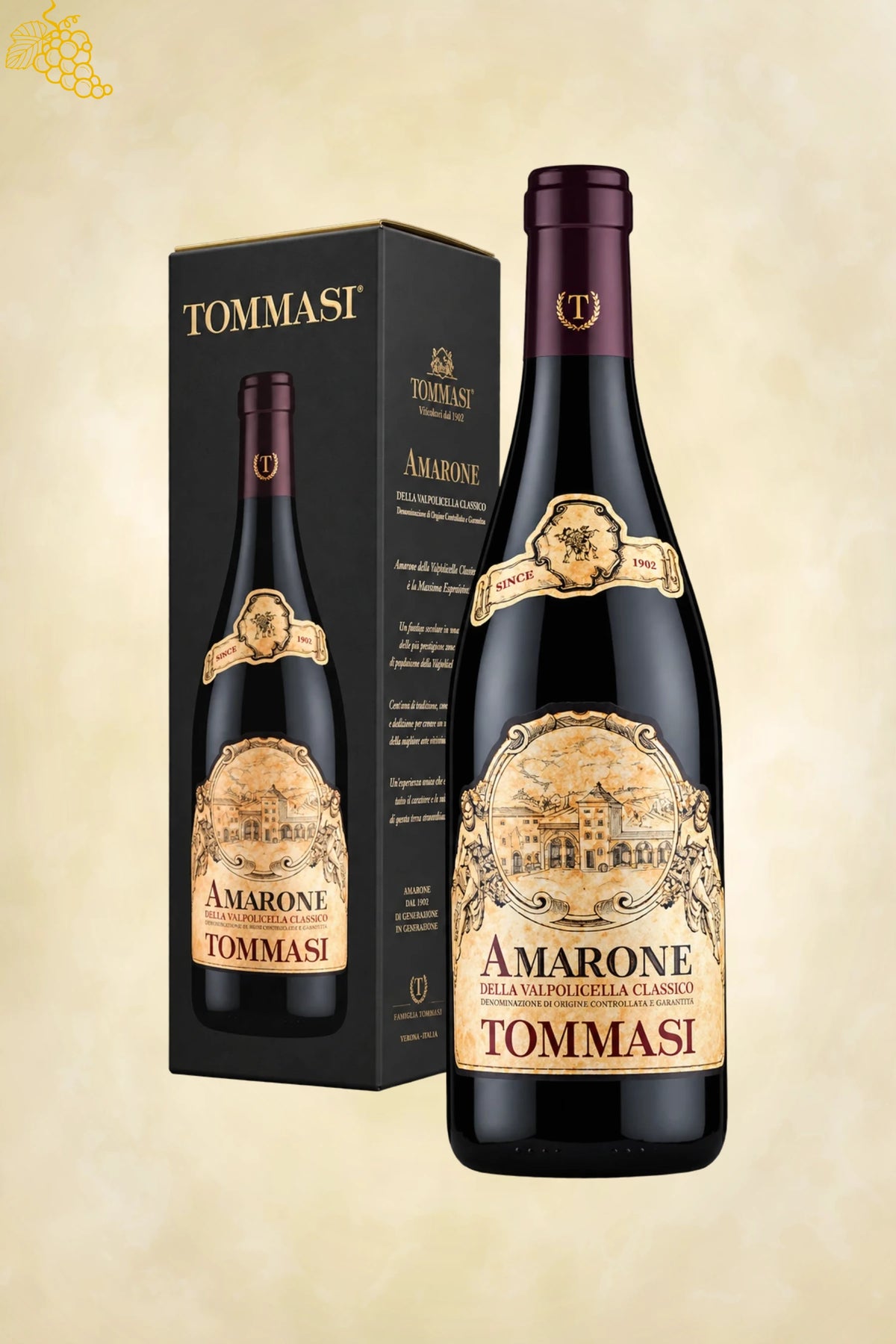 Tommasi Amarone della Valpolicella Classico DOCG 2019 met geschenkverpakking