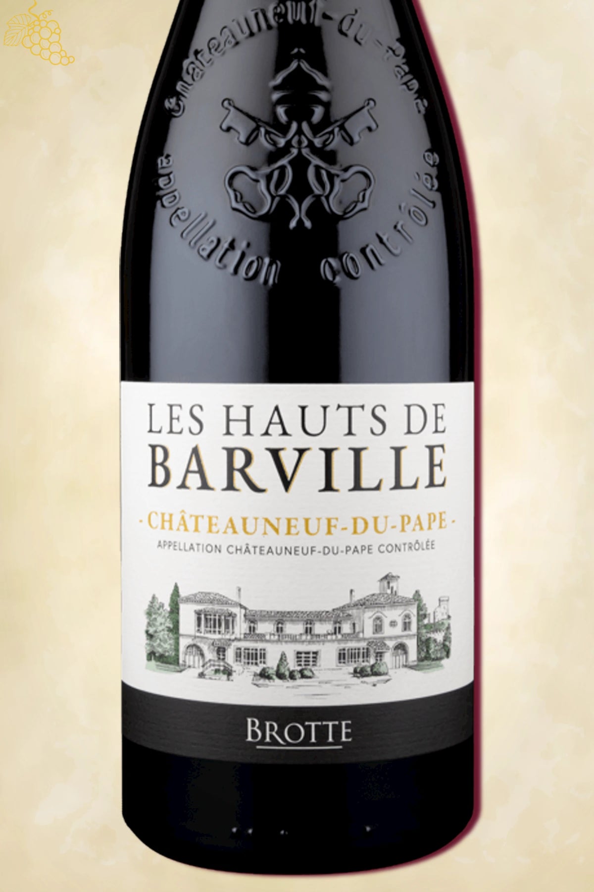 VKNMAG-000970 variant 3