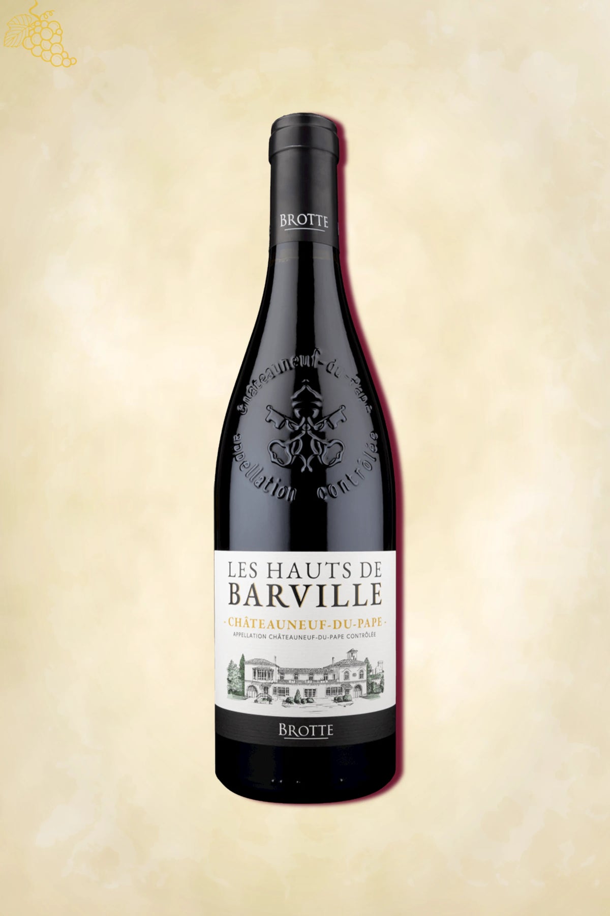 VKNMAG-000970 variant 1