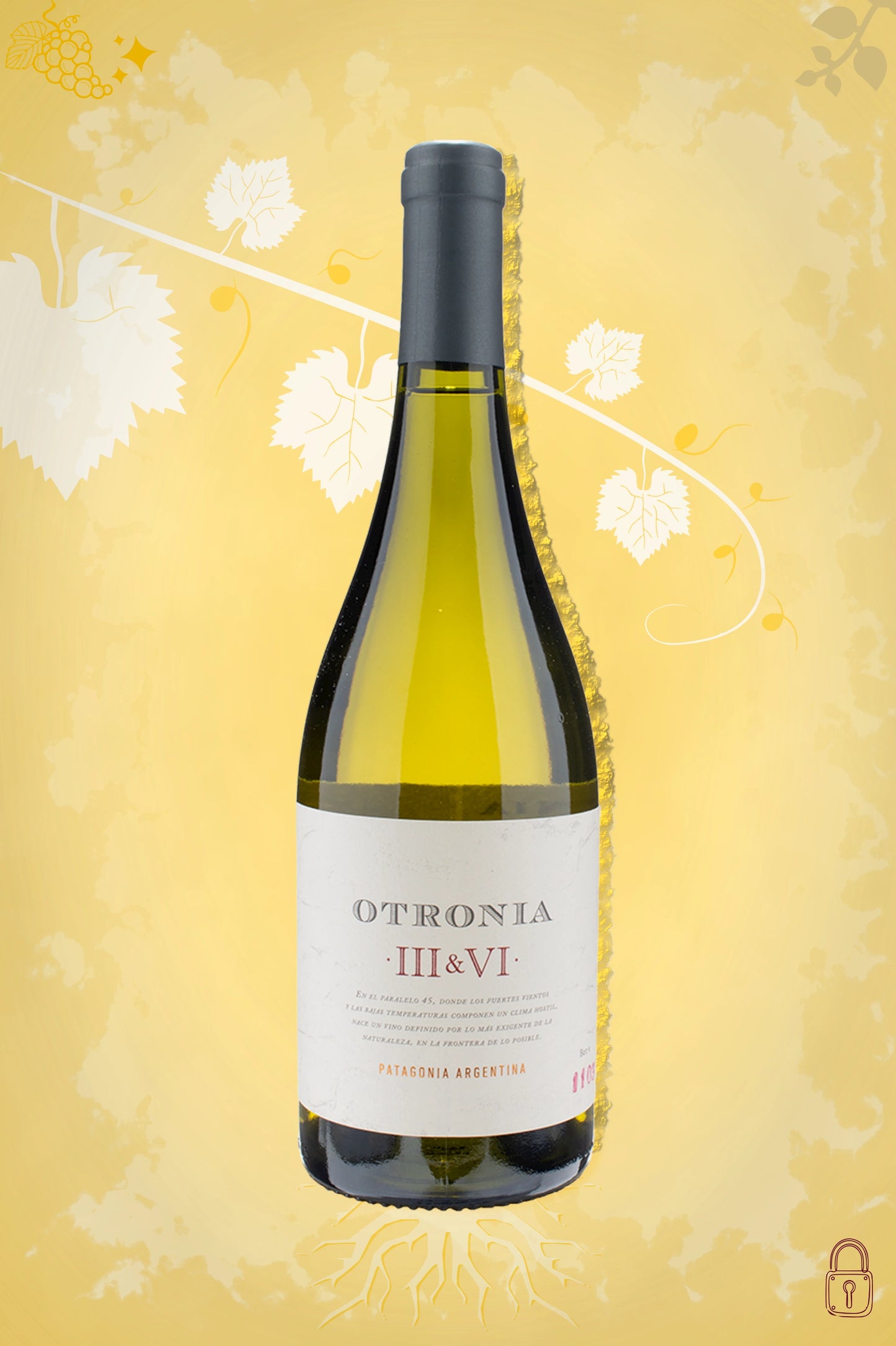 Otronia – Block III & VI Chardonnay (2019) – luxe witte wijn met gouden gloed