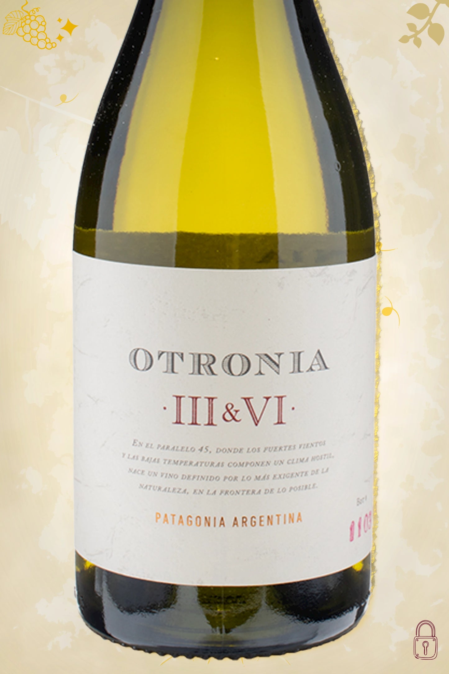 Label zoom: Otronia – Block III & VI Chardonnay (2019) – logo en tekst scherp zichtbaar