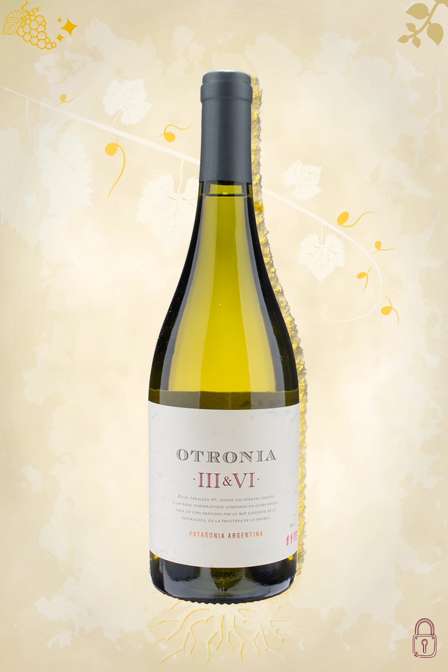 Otronia – Block III & VI Chardonnay (2019) – elegante witte wijn uit Patagonia