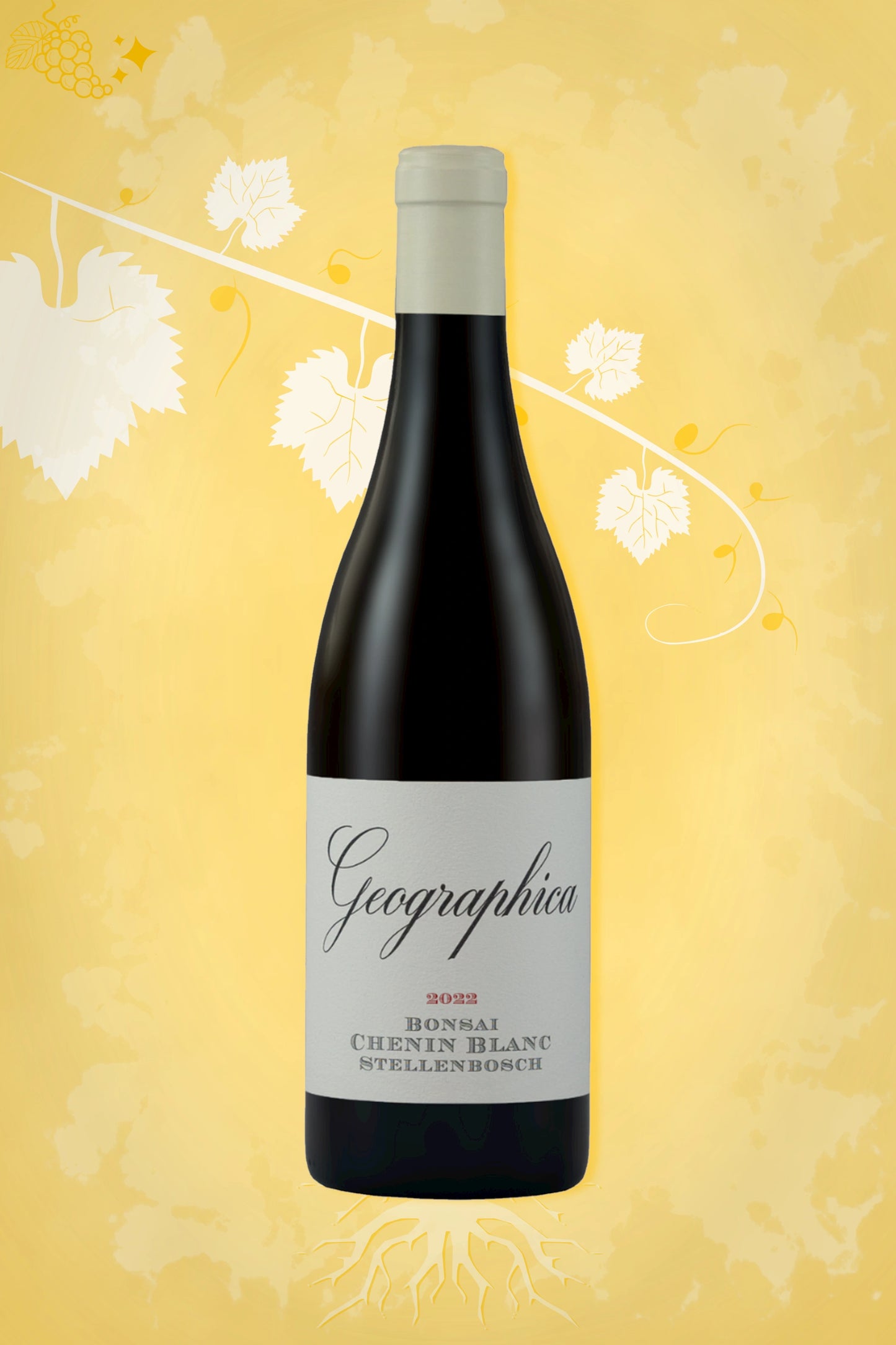 Gouden achtergrond voor The Foundry – Geographica Bonsai Chenin Blanc (2020) – premium witte wijn