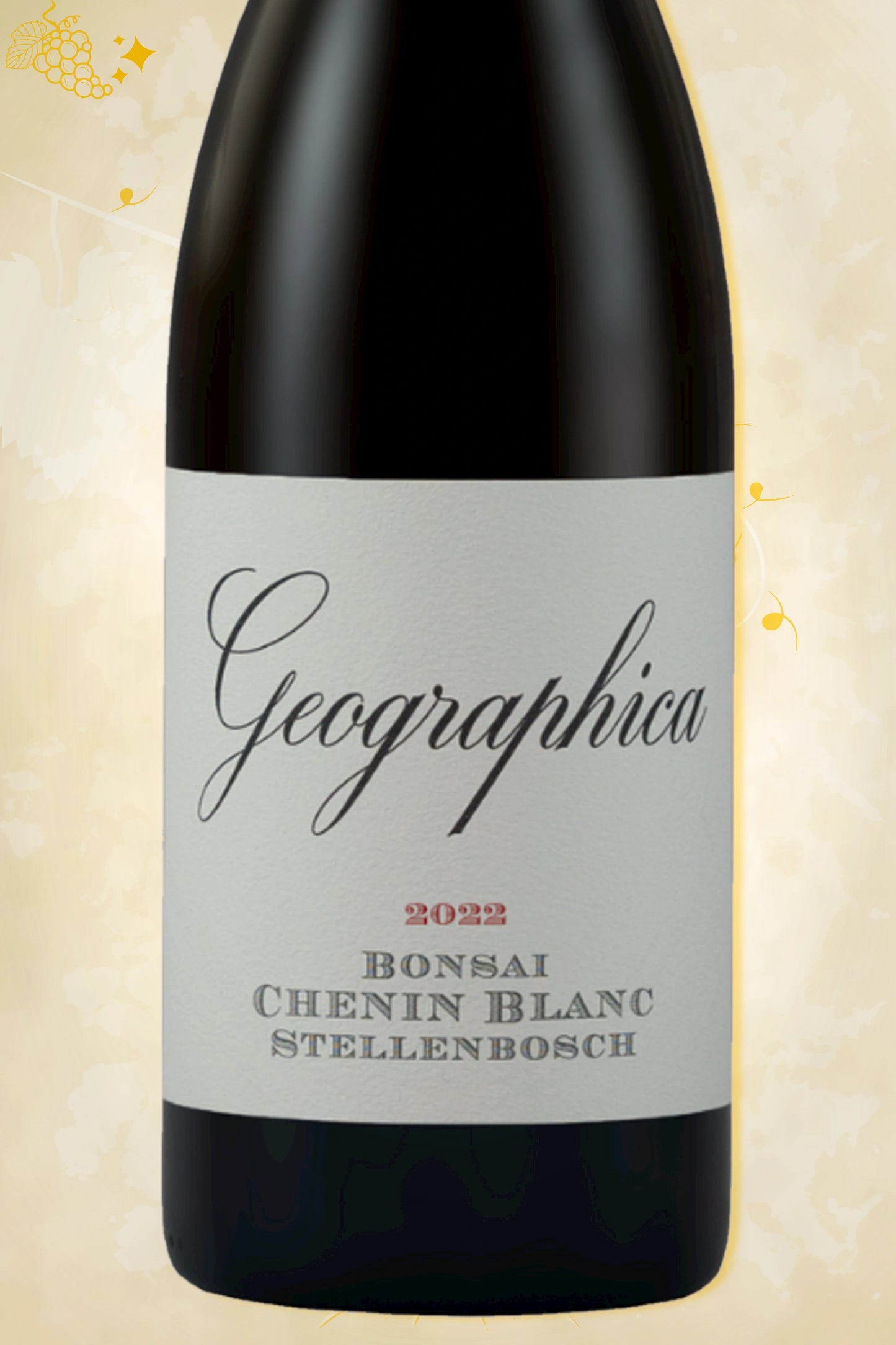 🔍 The Foundry – Geographica Bonsai Chenin Blanc (2020) – close‑up etiket detail op beige achtergrond
