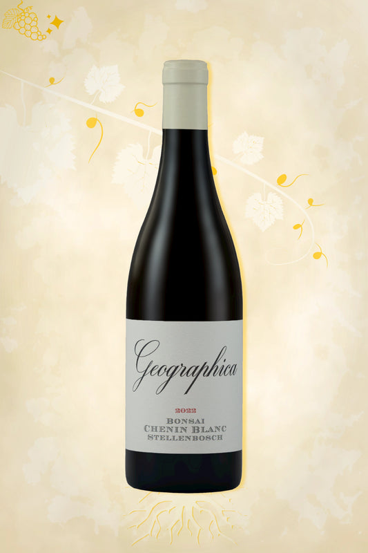 The Foundry – Geographica Bonsai Chenin Blanc (2020) – premium witte wijn uit Coastal Region