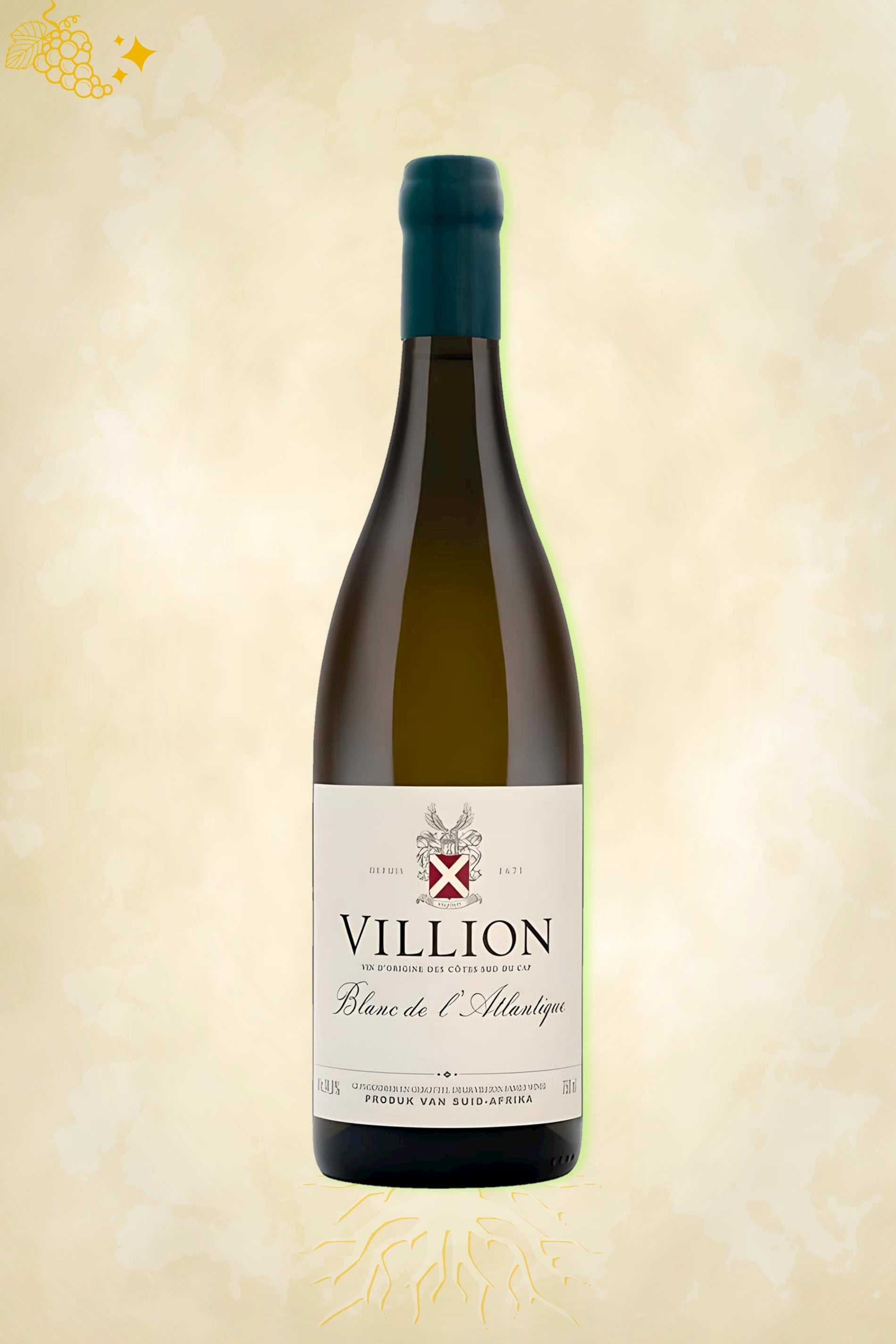 Authentieke witte wijn – Villion – Blanc de l’Atlantique (2022) uit Zuid-Afrika