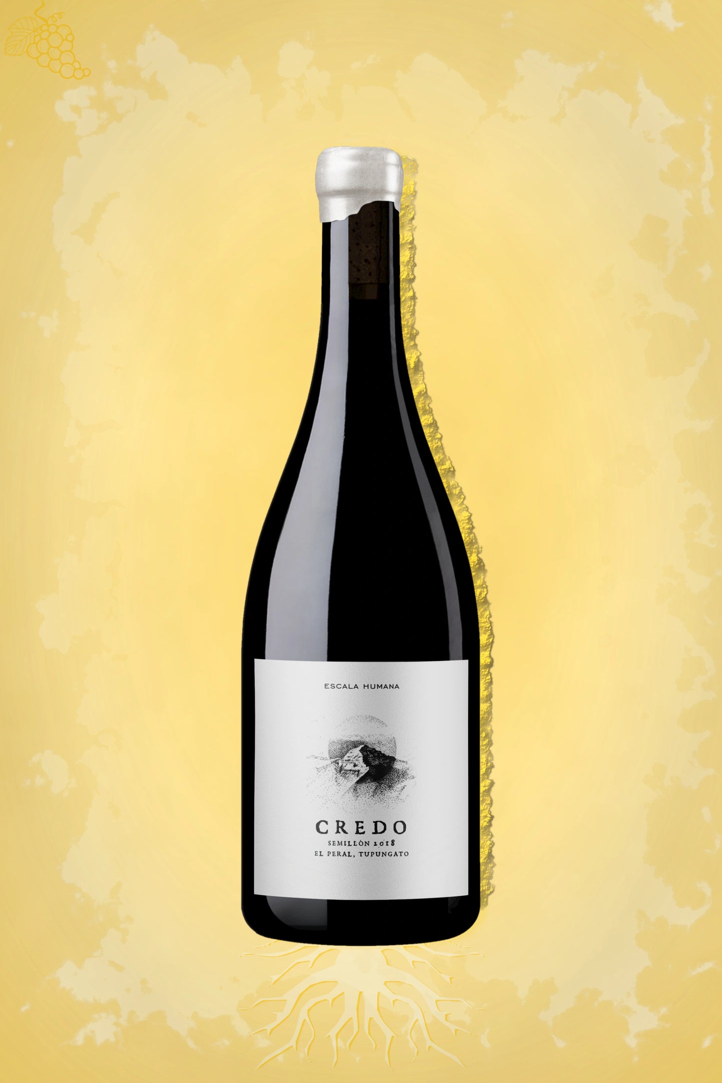 Escala Humana – Credo Sémillon (2021) – premium witte wijn tegen gouden achtergrond