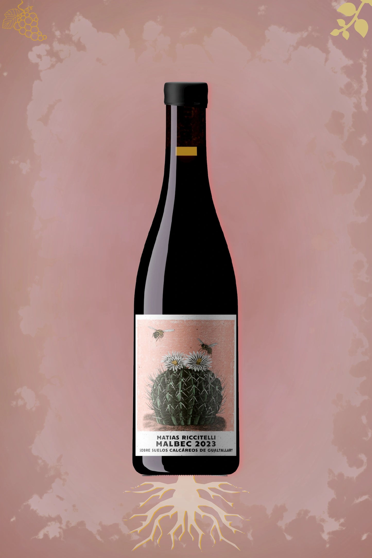 Fles Matías Riccitelli – Gualtallary Cabernet Franc (2022) – rode wijn in rode setting