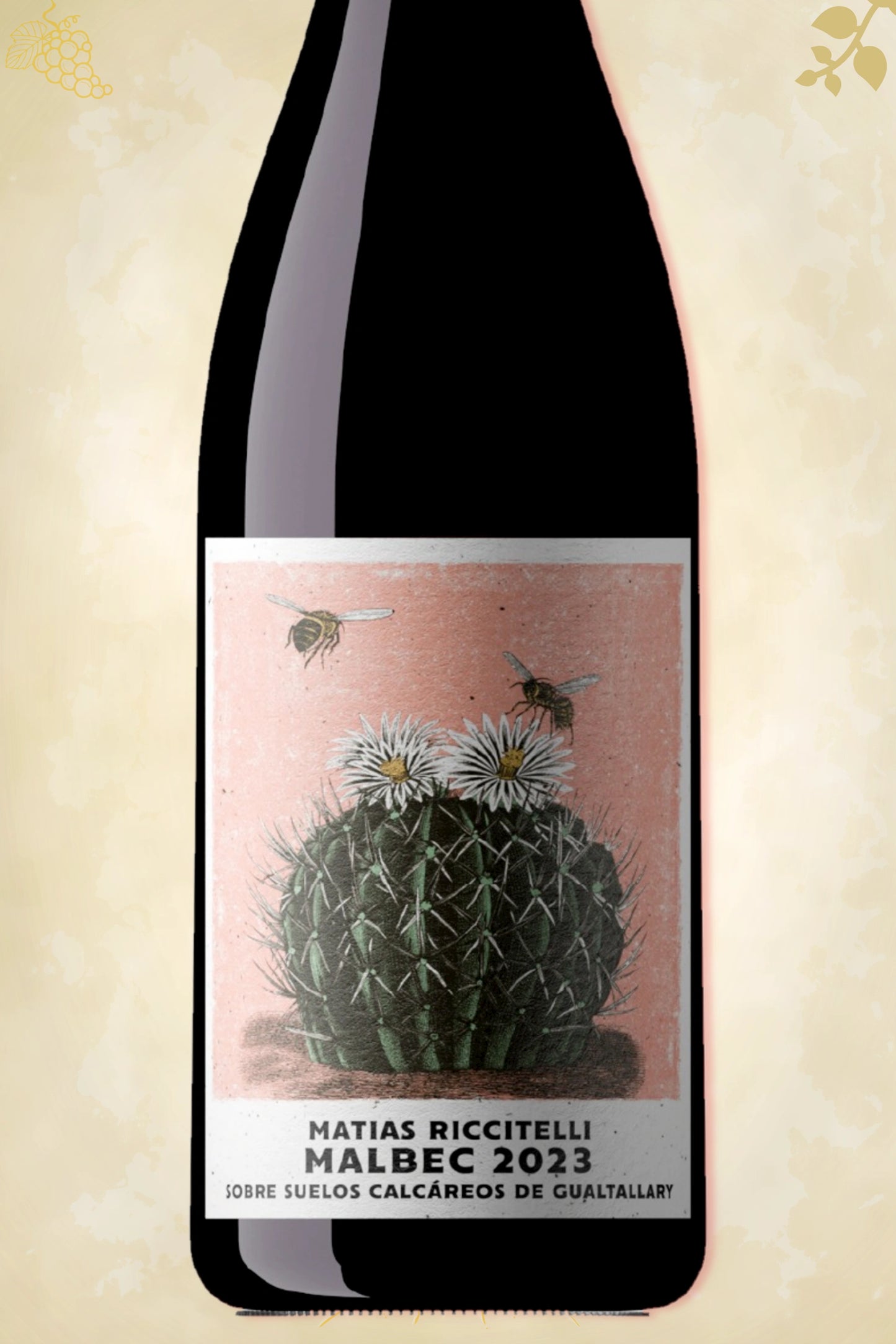 Fijn detail etiket Matías Riccitelli – Gualtallary Cabernet Franc (2022) tegen beige achtergrond