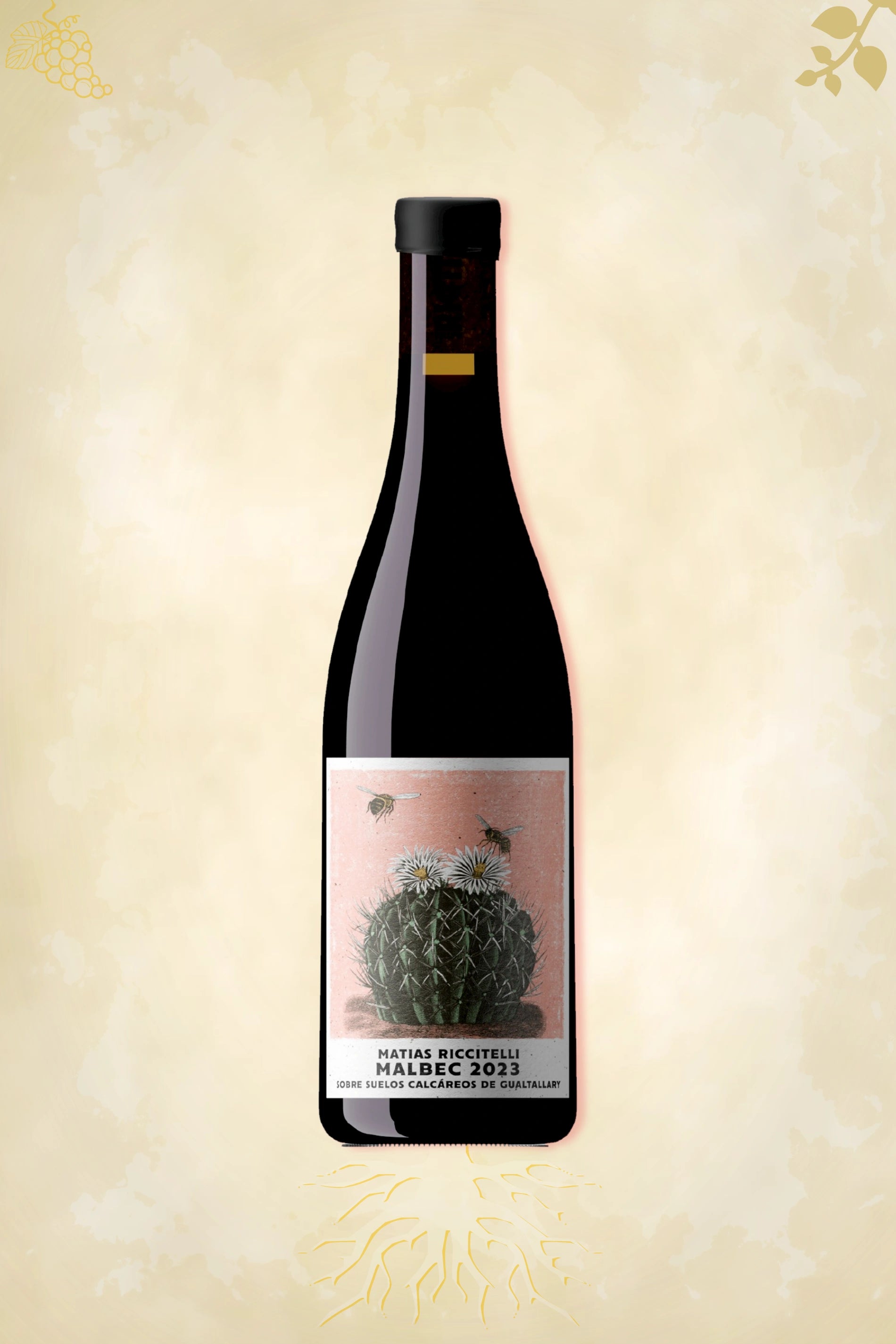 Matías Riccitelli – Gualtallary Cabernet Franc (2022) – elegante rode wijn uit Argentinië