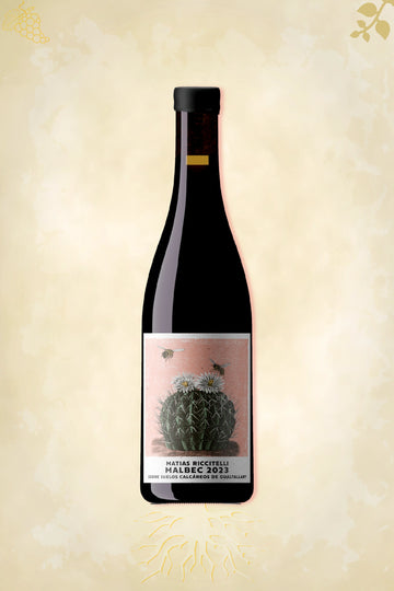Matías Riccitelli – Gualtallary Cabernet Franc (2022)