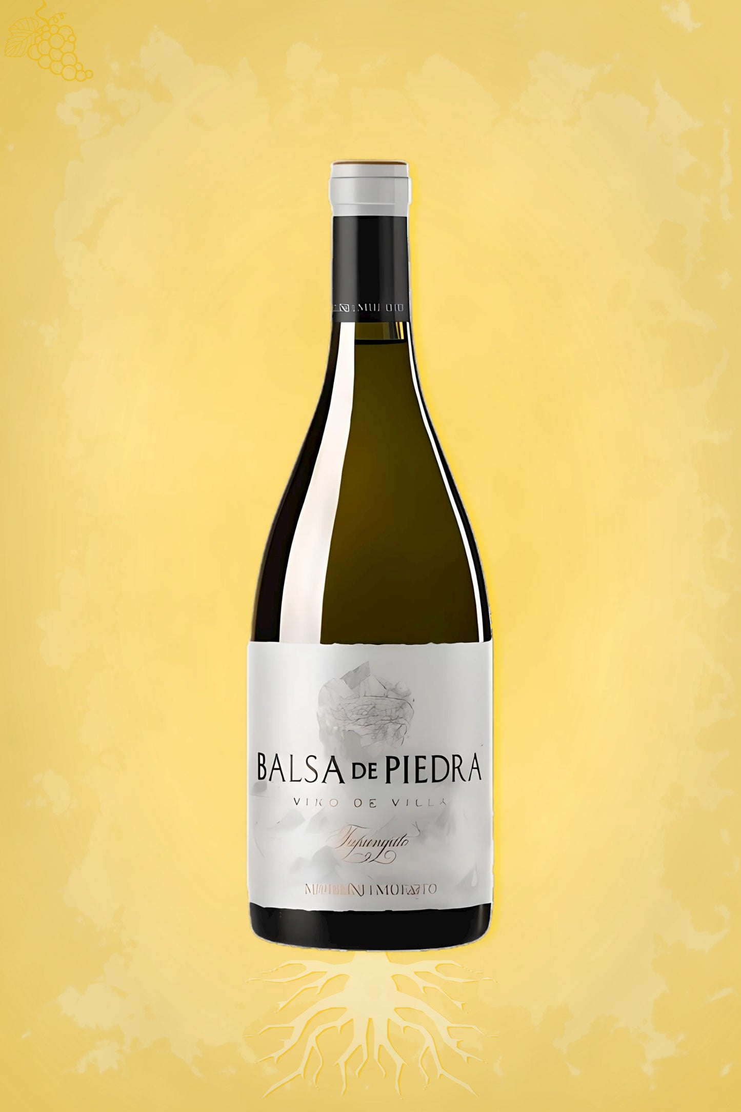 Michelini i Mufatto – Balsa de Piedra Sémillon (2021) – premium witte wijn tegen gouden achtergrond
