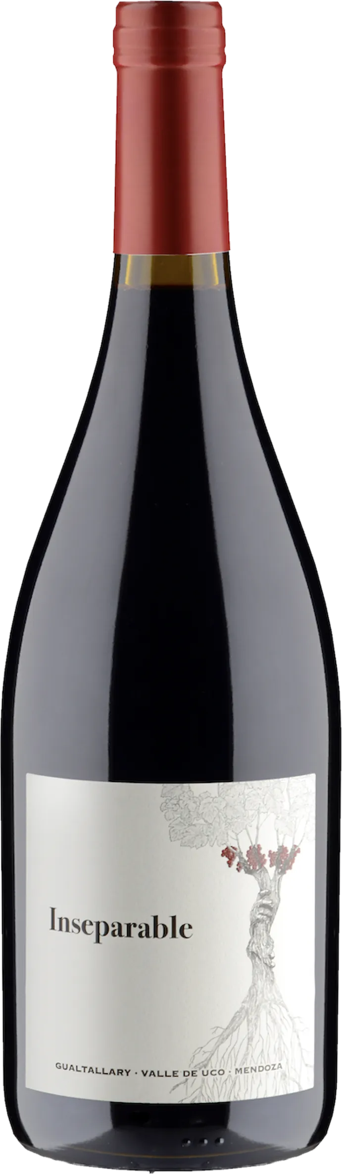 Transparante weergave van Perse – Inseparable Malbec (2021) – fles rode wijn zonder achtergrond