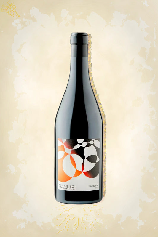 Raquis – San Pablo Cabernet Franc (2022) – premium rode wijn uit Argentinië