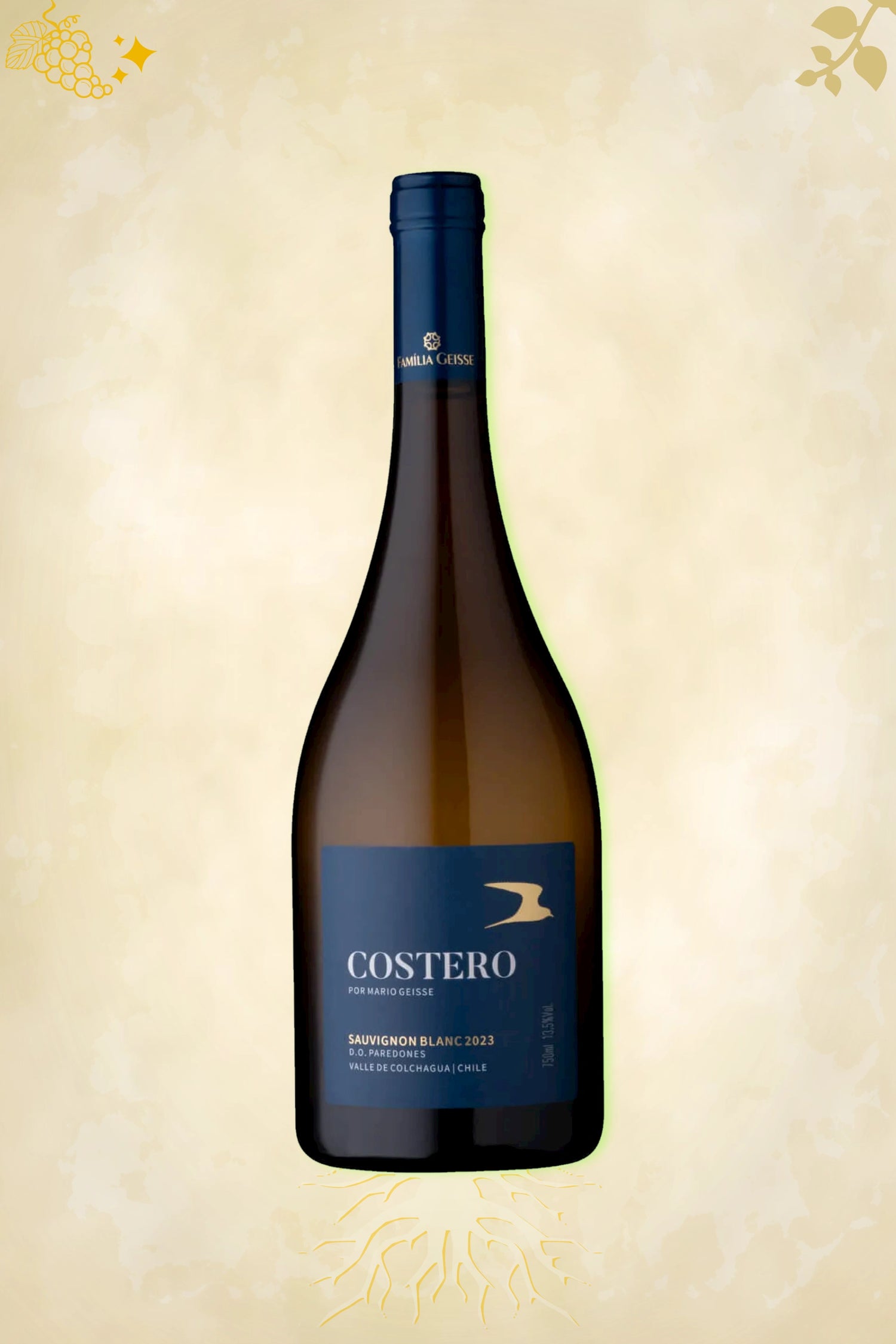 Mario Geisse – Costero Sauvignon Blanc (2023) – premium witte wijn uit Chili