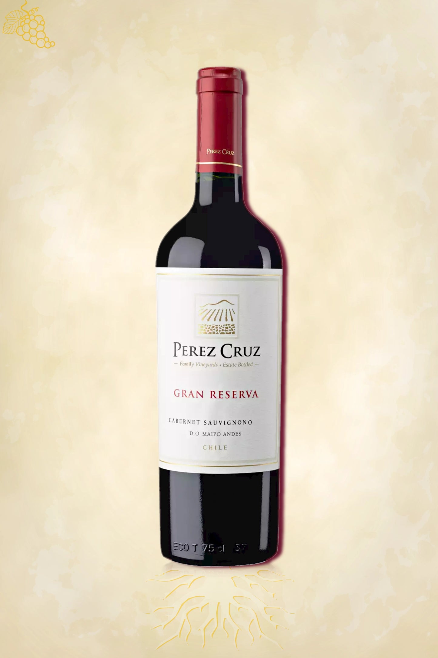 Authentieke rode wijn – Pérez Cruz – Gran Reserva Cabernet Sauvignon (2022) uit Chili