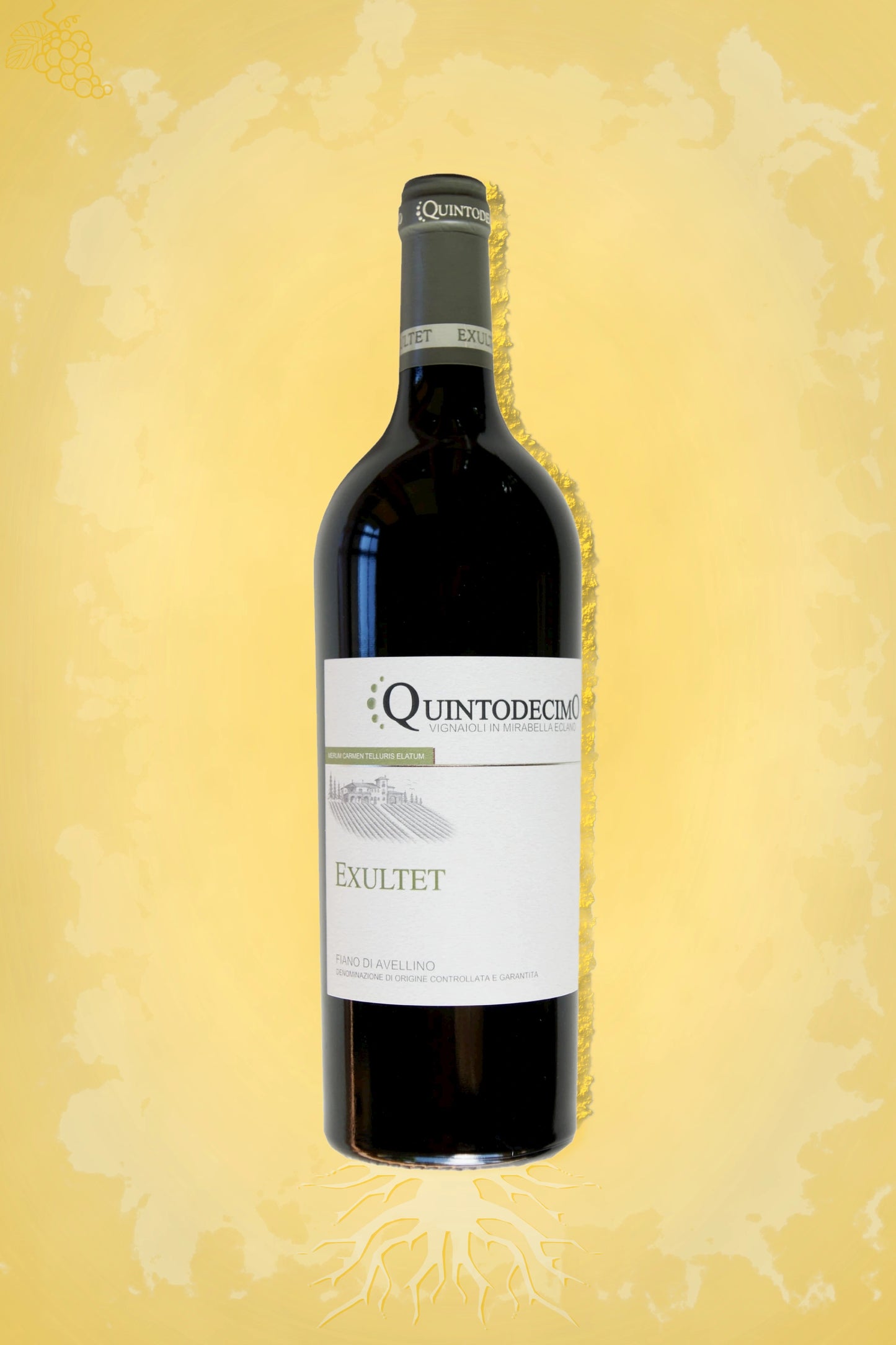 Quintodecimo – Exultet Fiano di Avellino (2023) – luxe witte wijn met gouden gloed