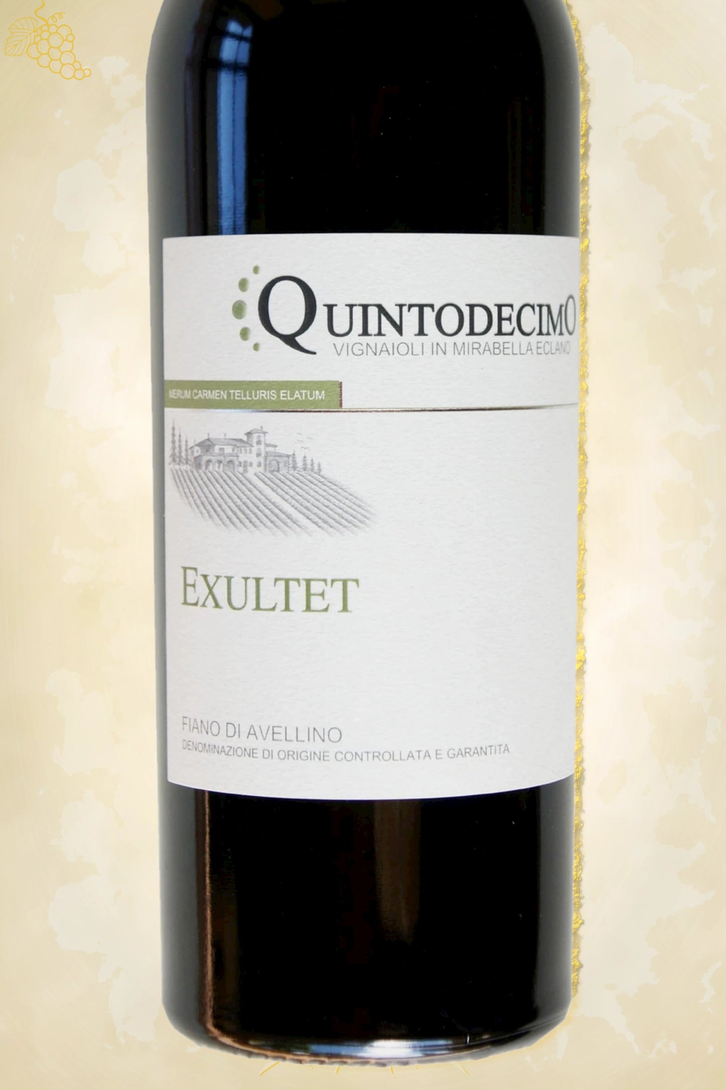 Ingezoomd label: Quintodecimo – Exultet Fiano di Avellino (2023) – ontwerpdetails op beige achtergrond
