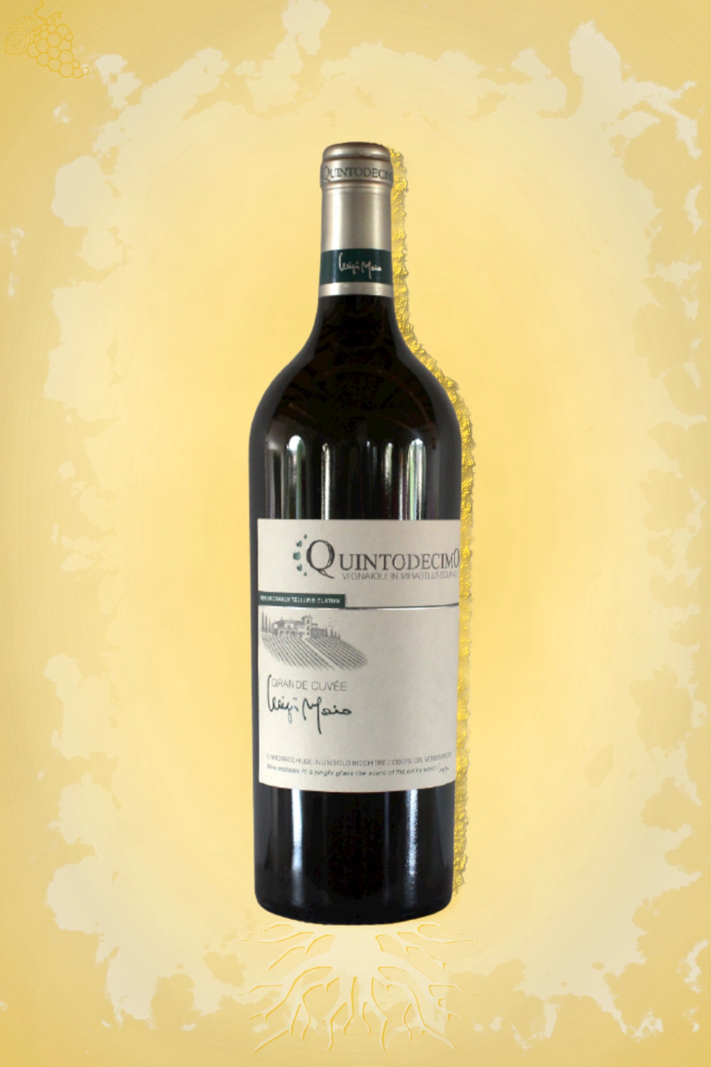 Premium presentatie: Quintodecimo – Luigi Moio Grande Cuvée (2022) met gouden gloed