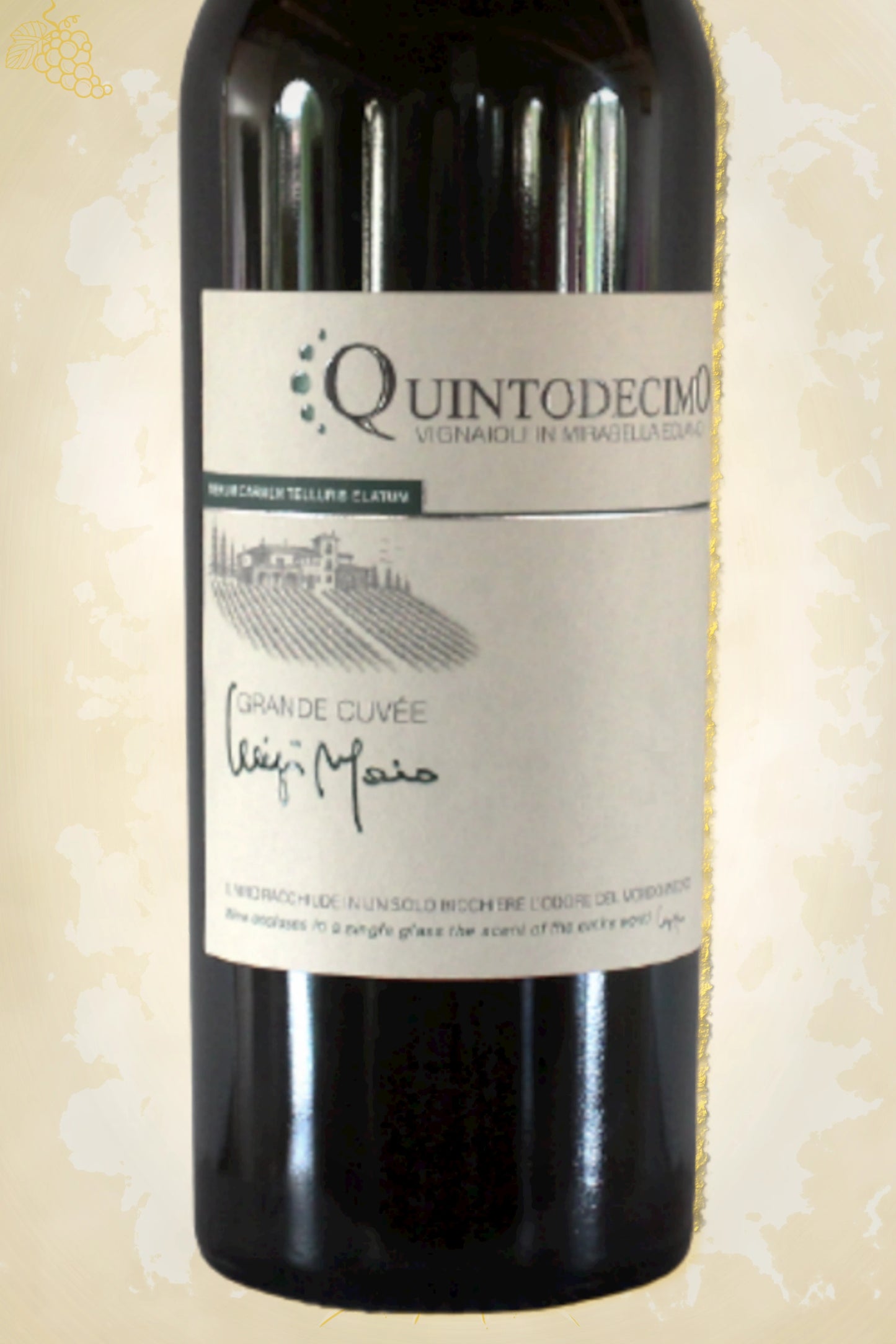 Ingezoomd label: Quintodecimo – Luigi Moio Grande Cuvée (2022) – ontwerpdetails op beige achtergrond