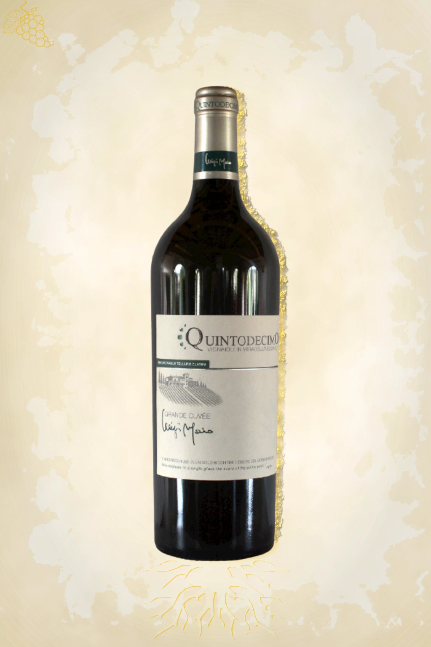 Fles Quintodecimo – Luigi Moio Grande Cuvée (2022) – witte wijn uit Campania