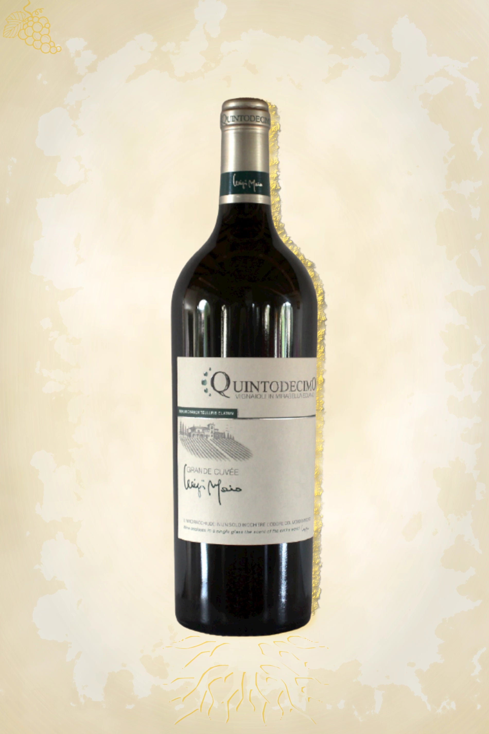 Fles Quintodecimo – Luigi Moio Grande Cuvée (2022) – witte wijn uit Campania