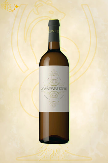 Jose Pariente – José Pariente Verdejo Rueda (2024)