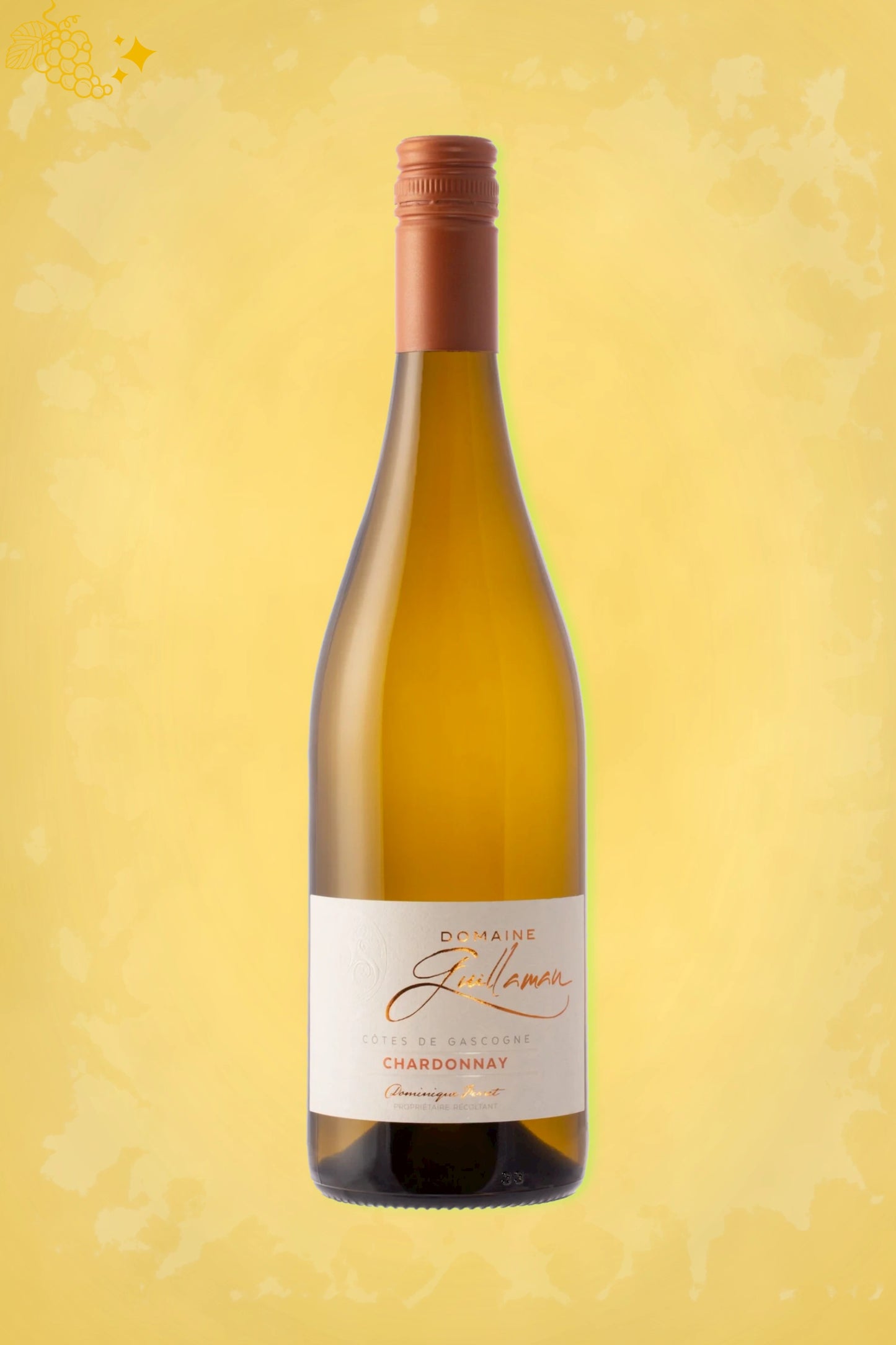 Domaine de Guillaman Chardonnay 2023 tegen lichtgele achtergrond – frisse chardonnay