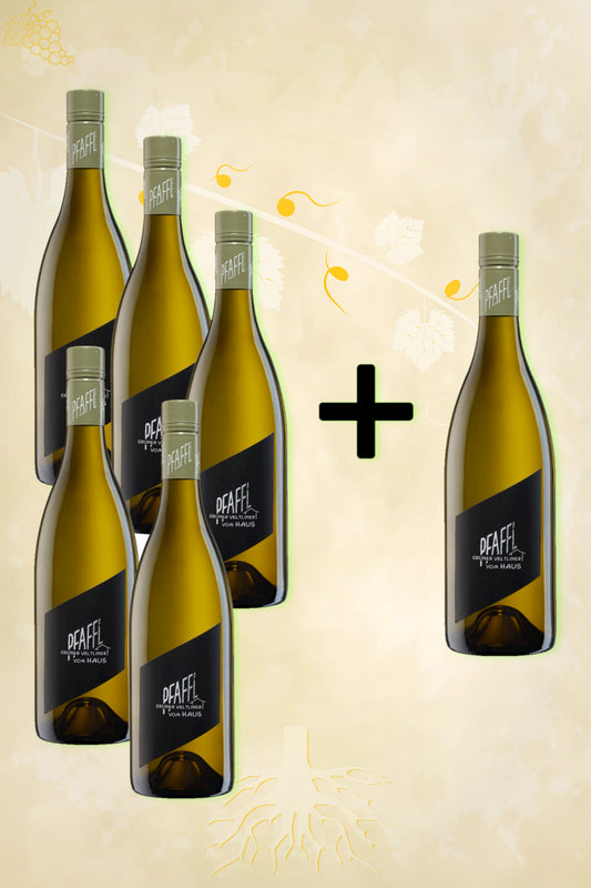 Pfaffl – Grüner Veltliner Vom Haus (2024) 5 + 1 Gratis