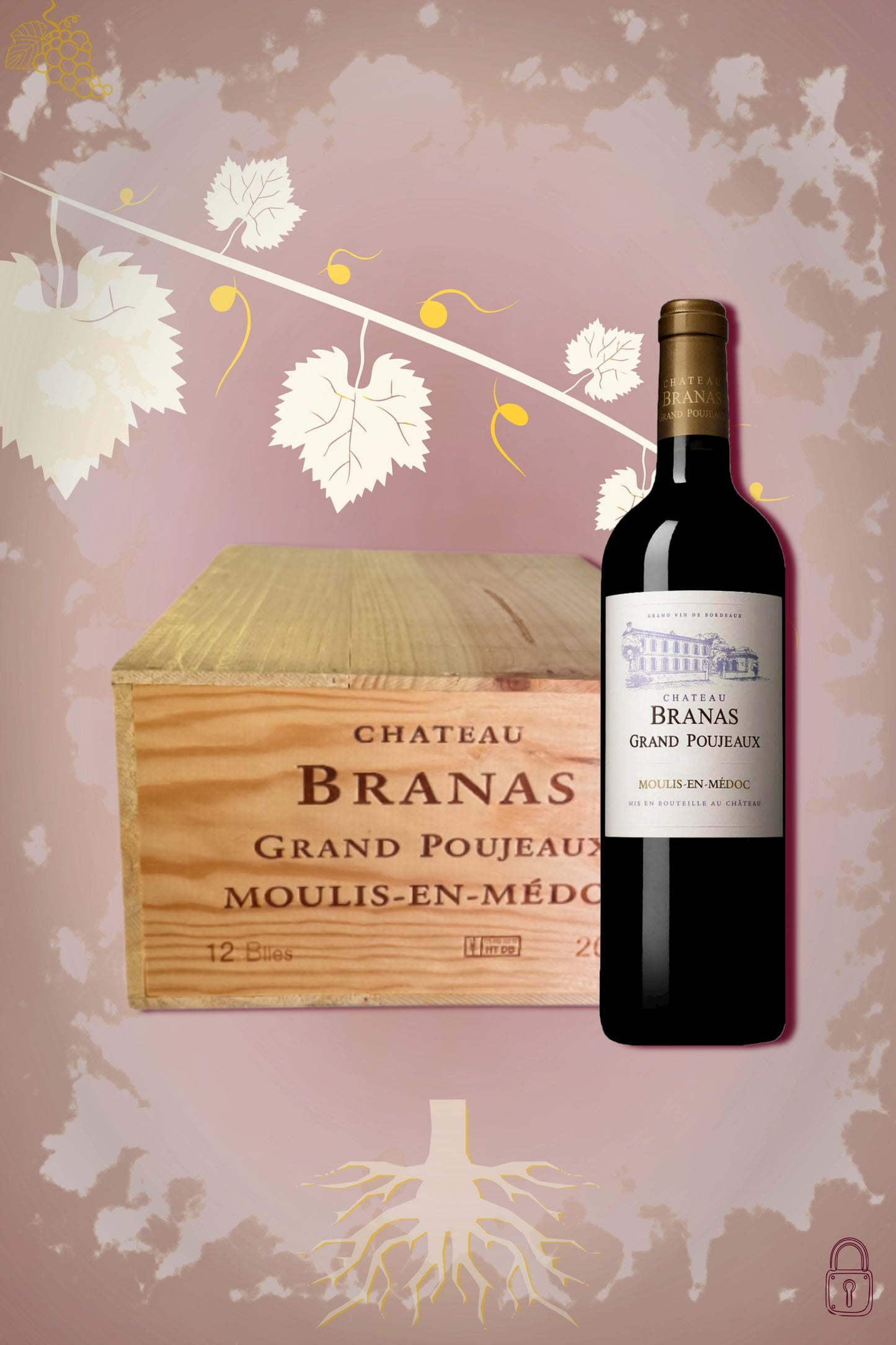 Château Branas Grand Poujeaux 2022 – rode wijn tegen bordeaux achtergrond
