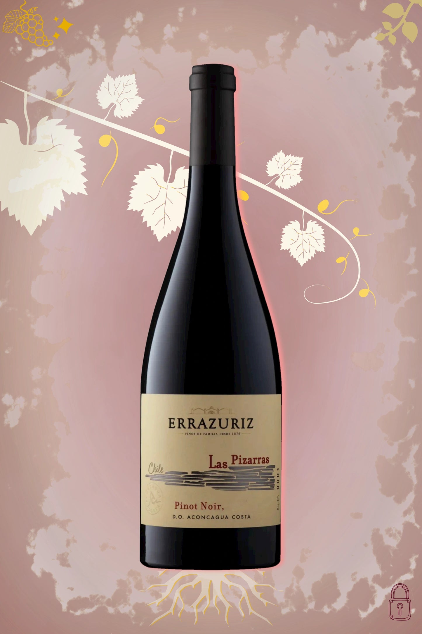 Errazuriz Las Pizarras Pinot Noir 2016 tegen bordeaux achtergrond – premium rode wijn