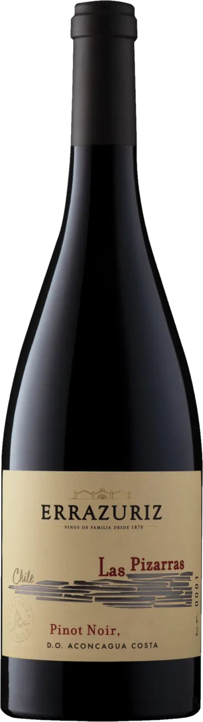 Errazuriz Las Pizarras Pinot Noir 2016 tegen bordeaux achtergrond – premium rode wijn