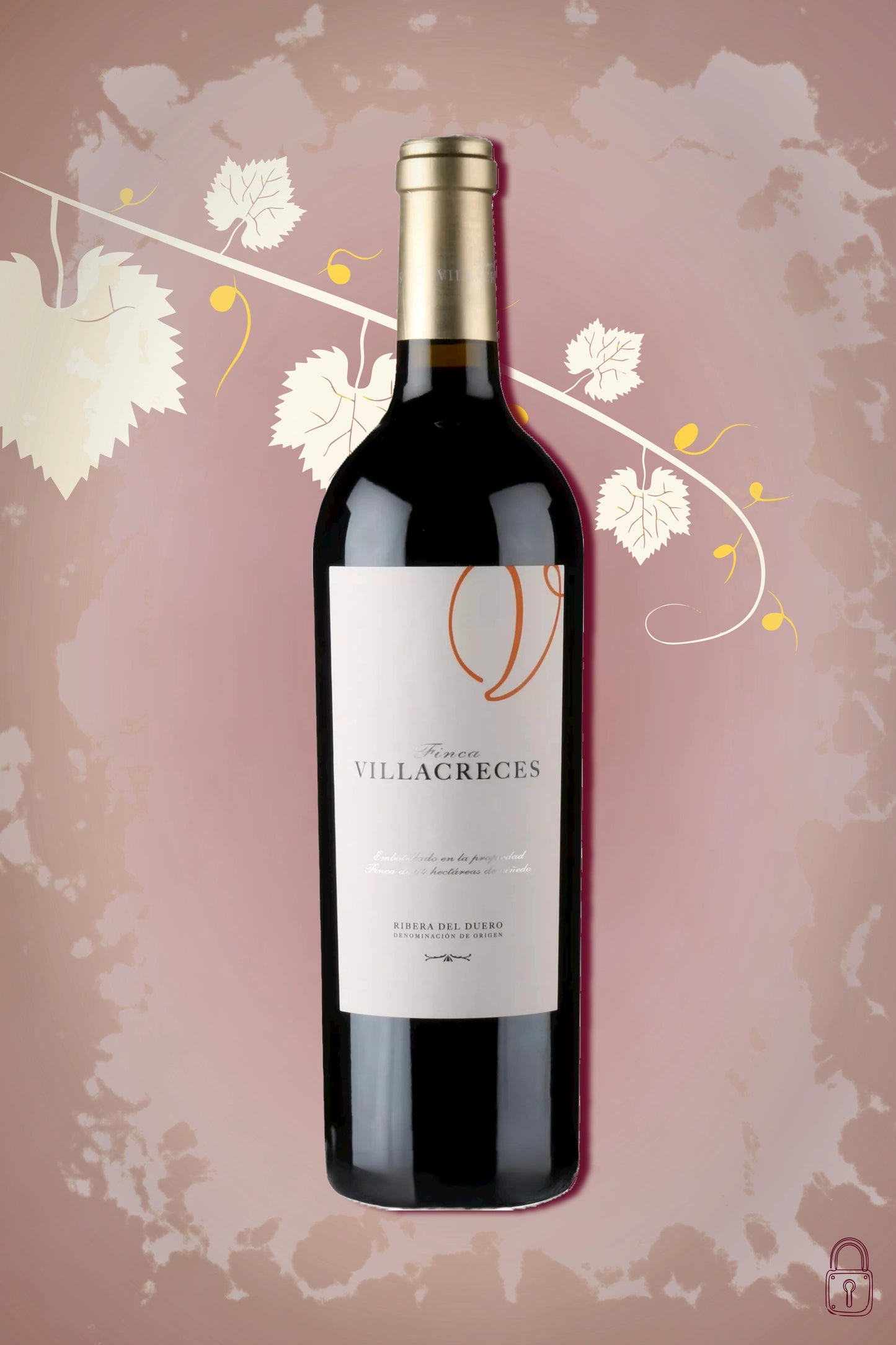 Finca Villacreces 2004 op bordeaux achtergrond – krachtige rode wijn