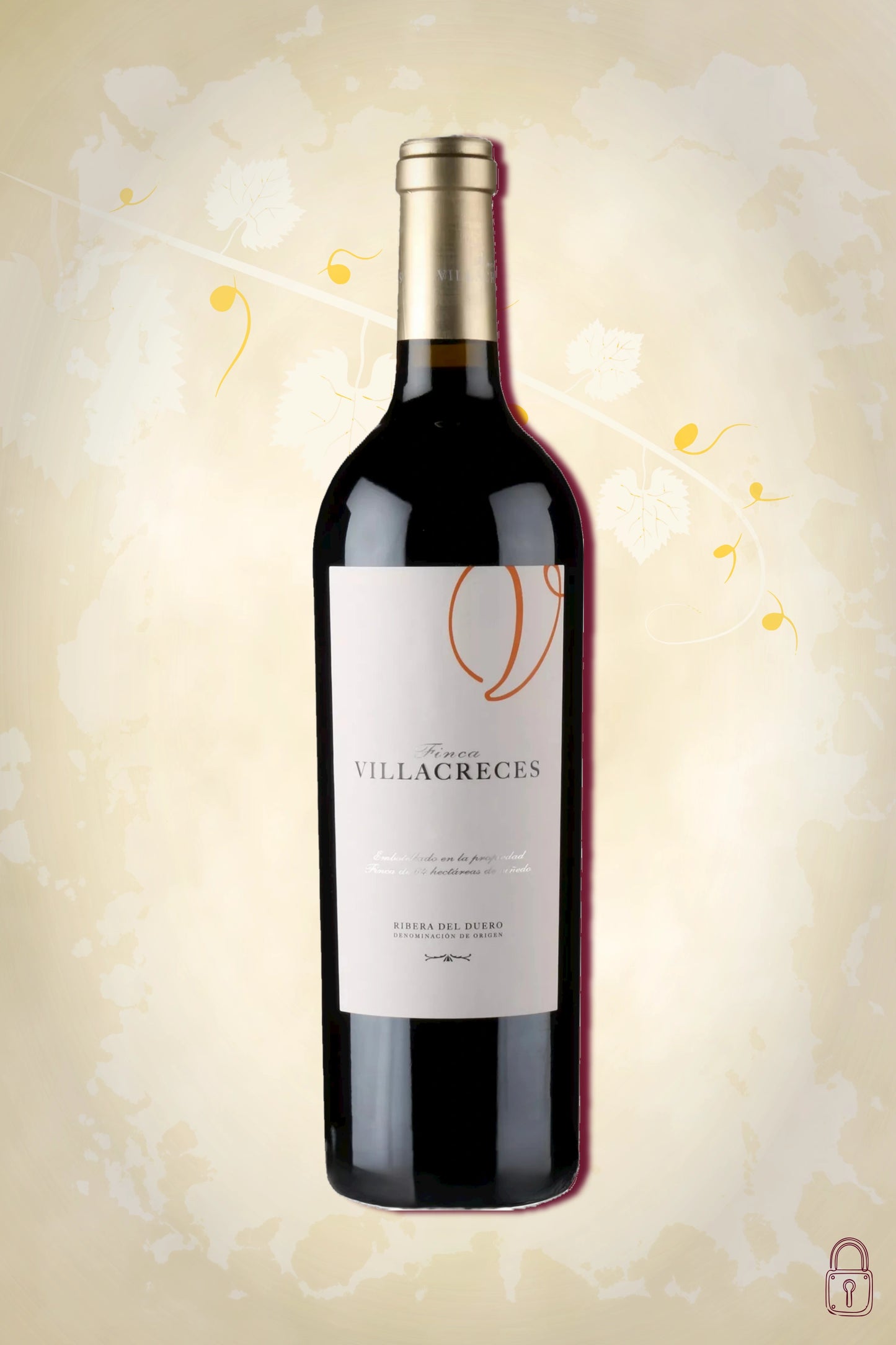 Finca Villacreces 2004 – rode wijn uit Ribera del Duero Spanje