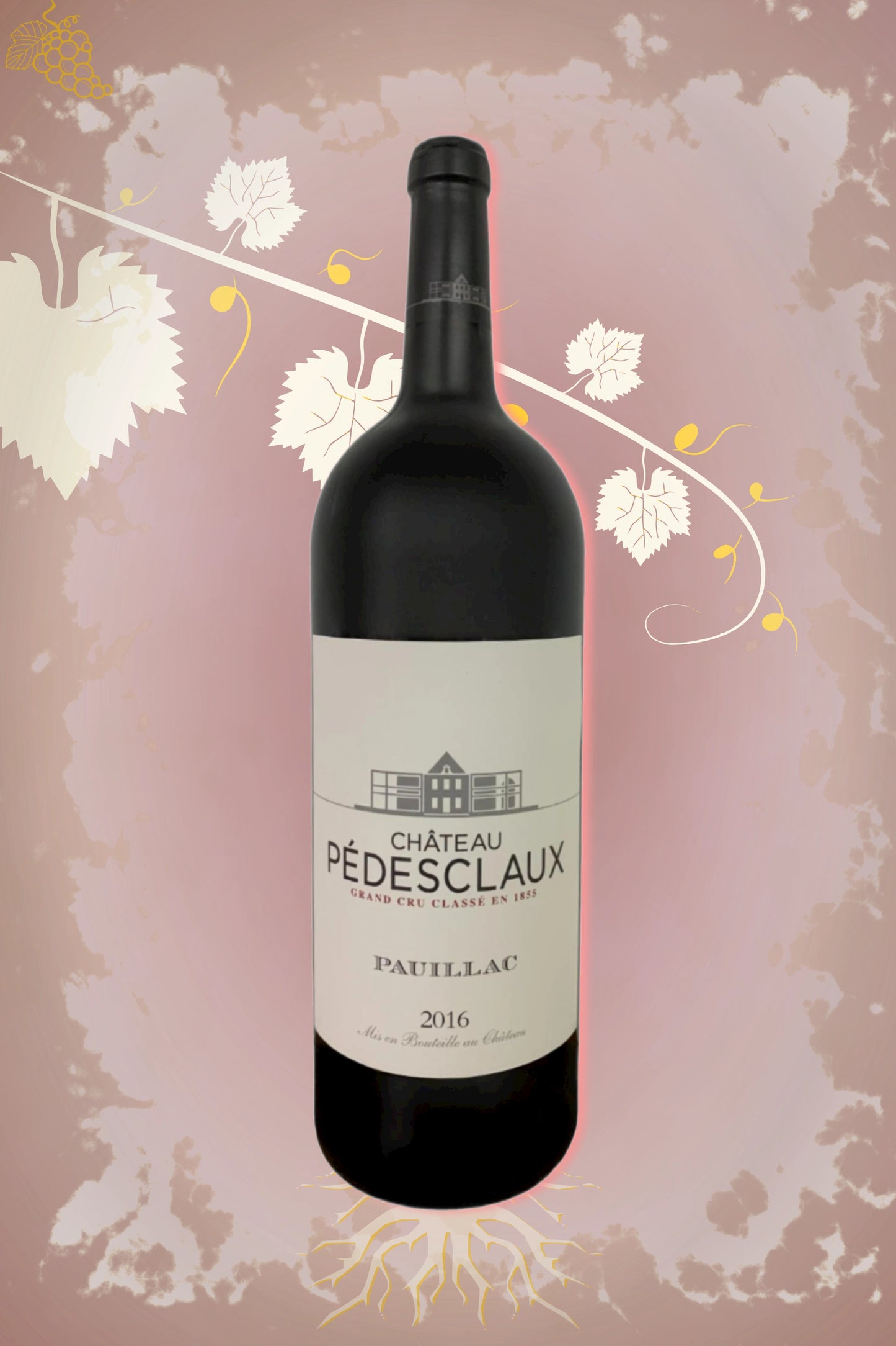 Château Pédesclaux Magnum 2016 tegen bordeaux achtergrond – premium rode Bordeaux wijn