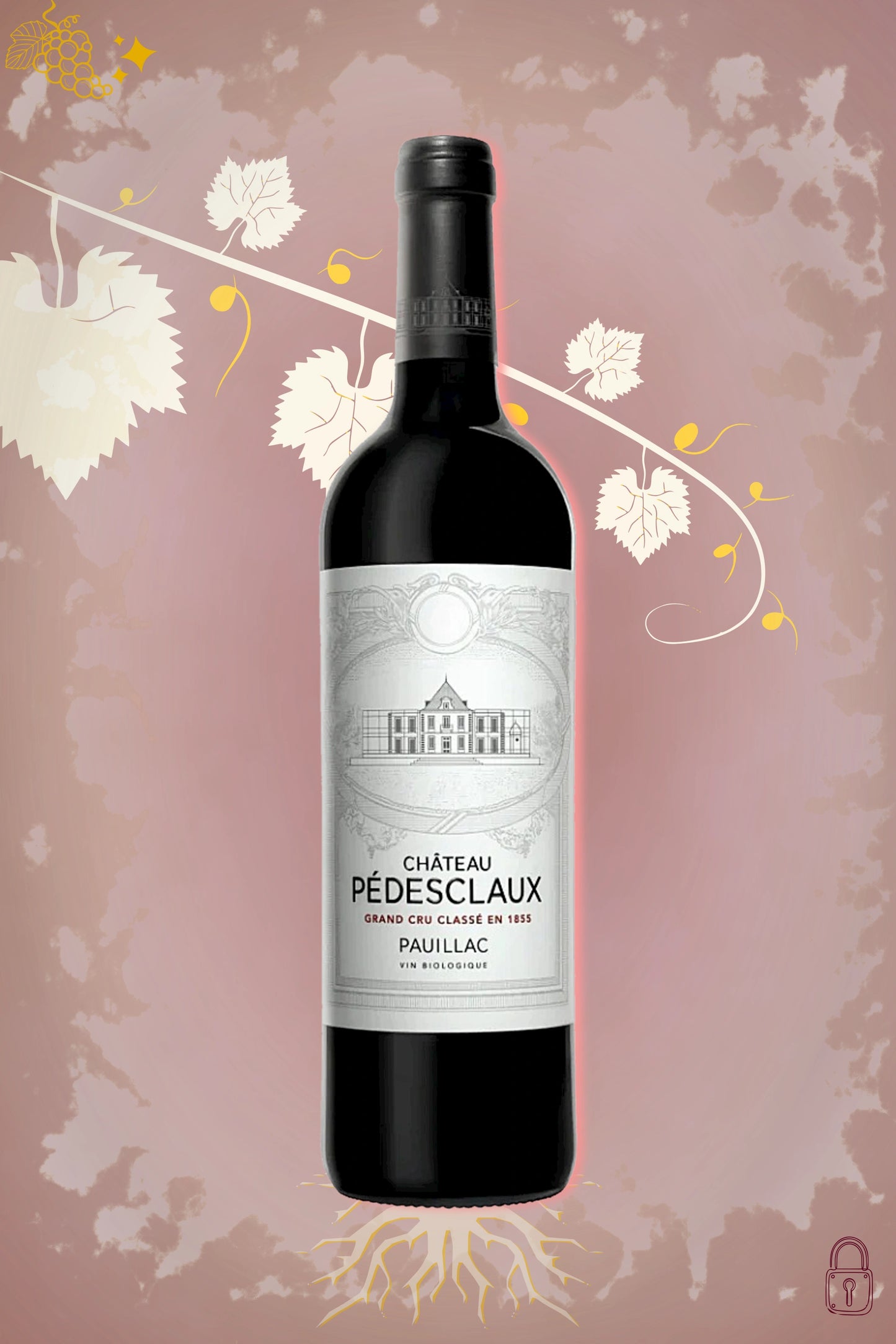 Château Pédesclaux Pauillac 2015 tegen bordeaux achtergrond – premium rode wijn