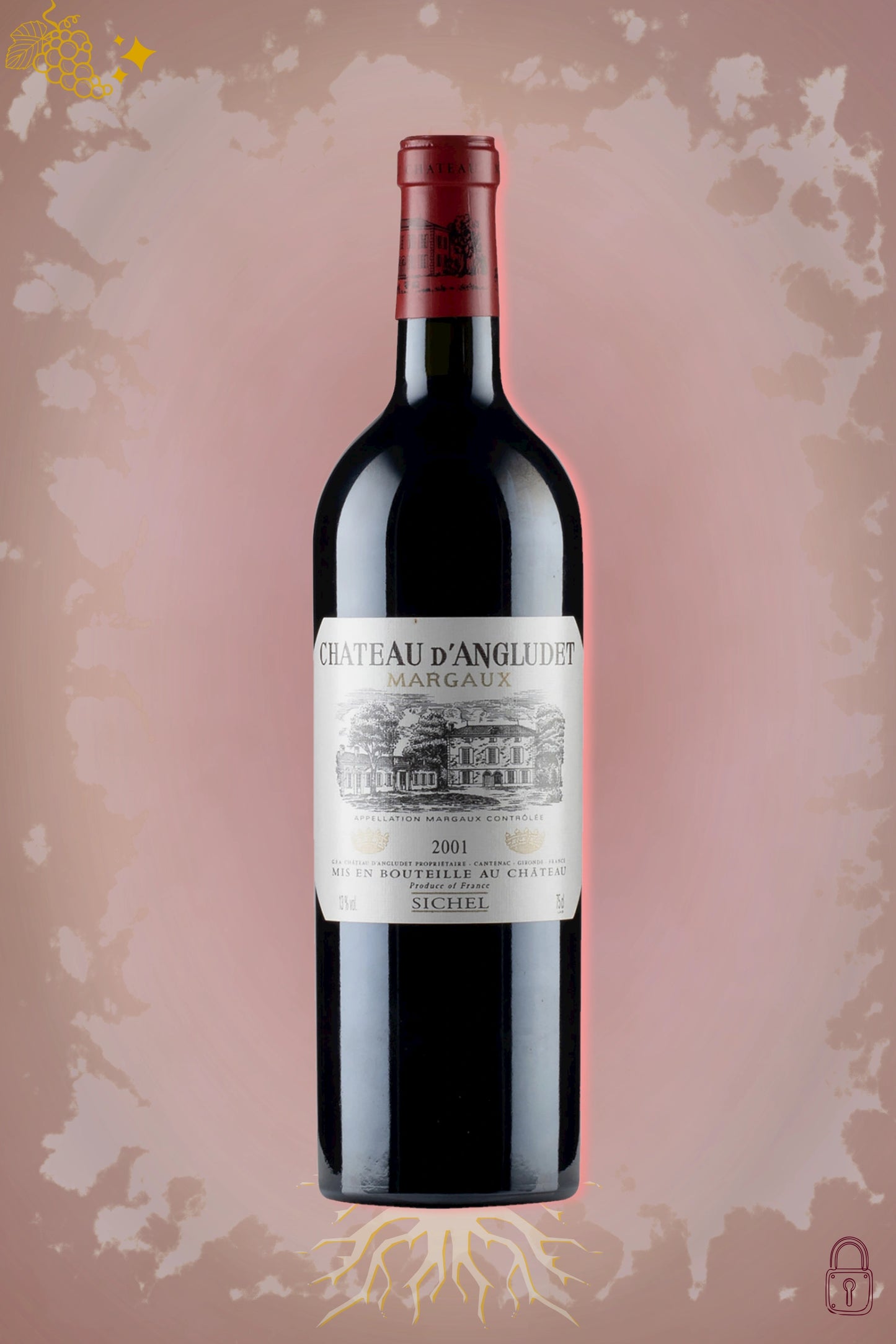 Château Angludet 2001 tegen bordeaux achtergrond – premium Bordeaux wijn