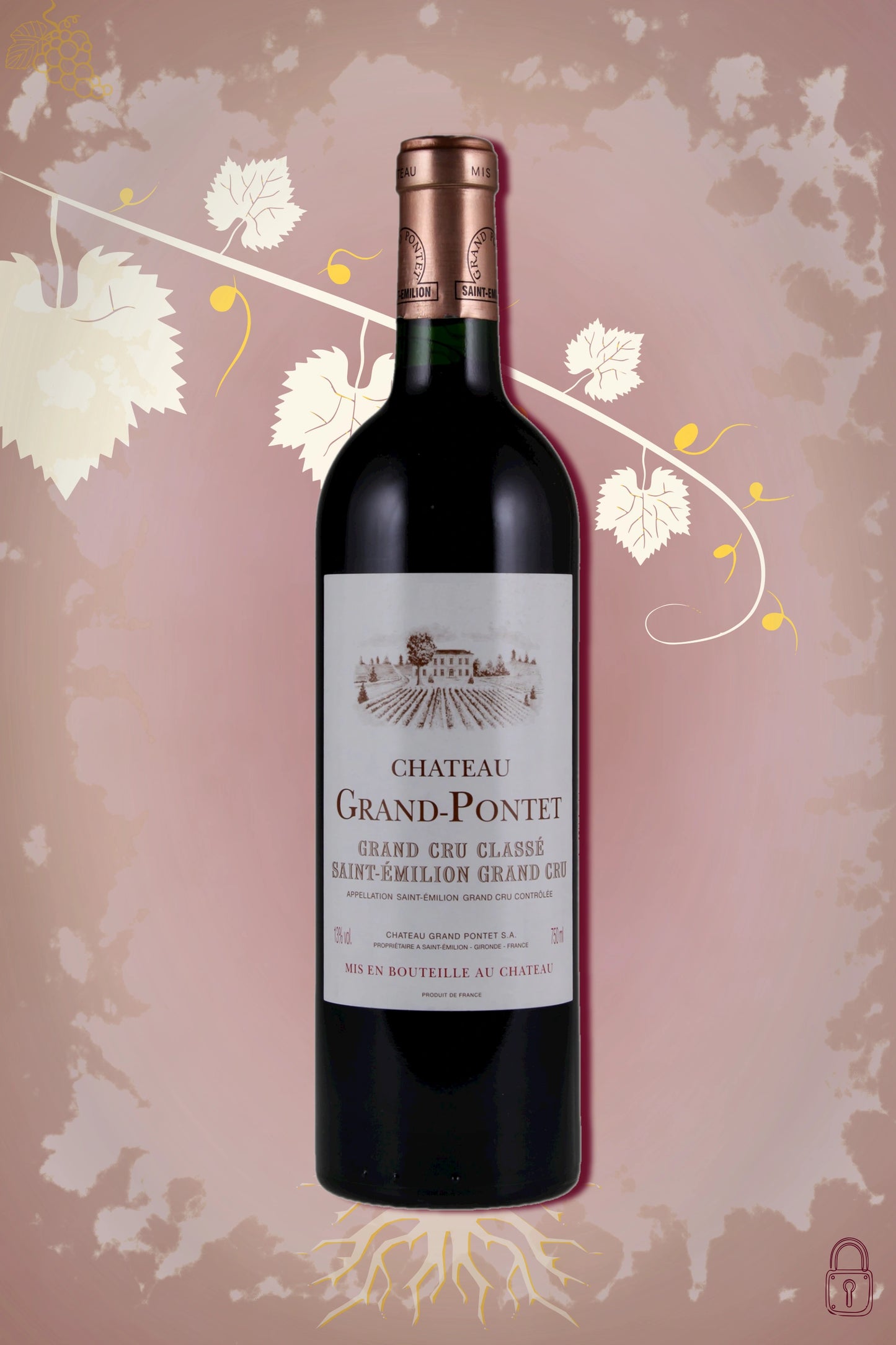 “Château Grand Pontet 2005 tegen bordeaux achtergrond – krachtige rode wijn