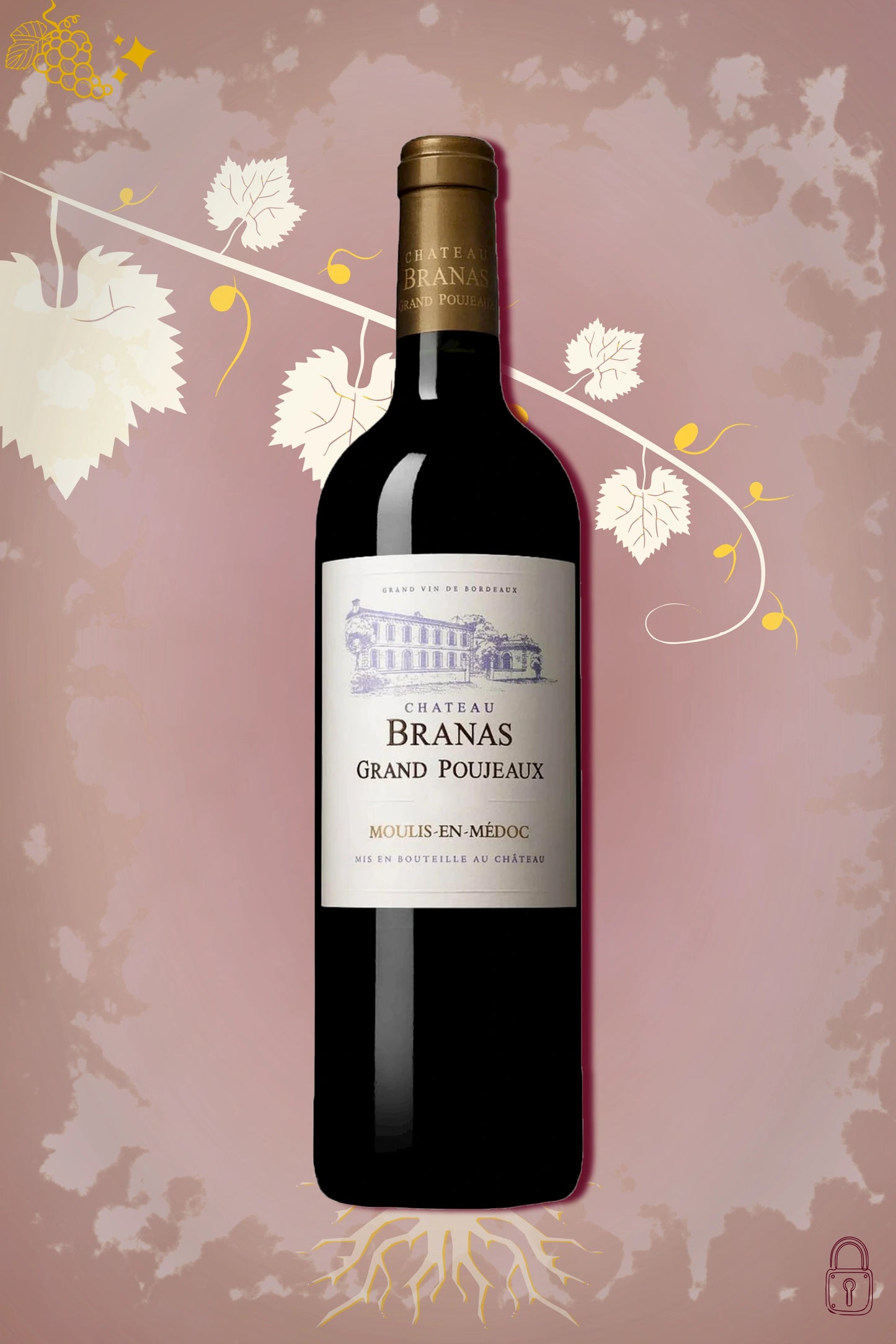 Château Branas Grand Poujeaux 2010 tegen bordeaux achtergrond – premium rode wijn