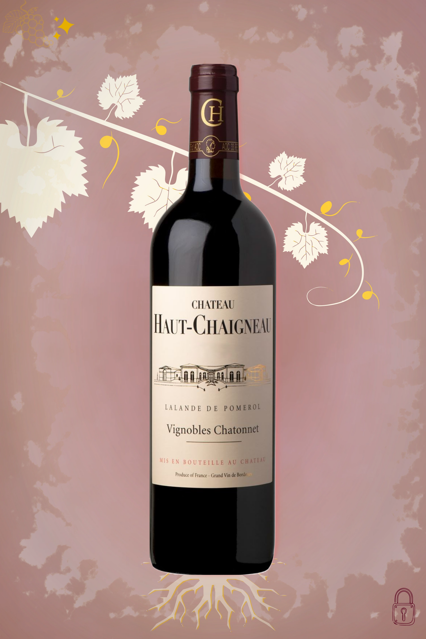 Château Haut-Chaigneau 2014 tegen bordeaux achtergrond – premium rode wijn