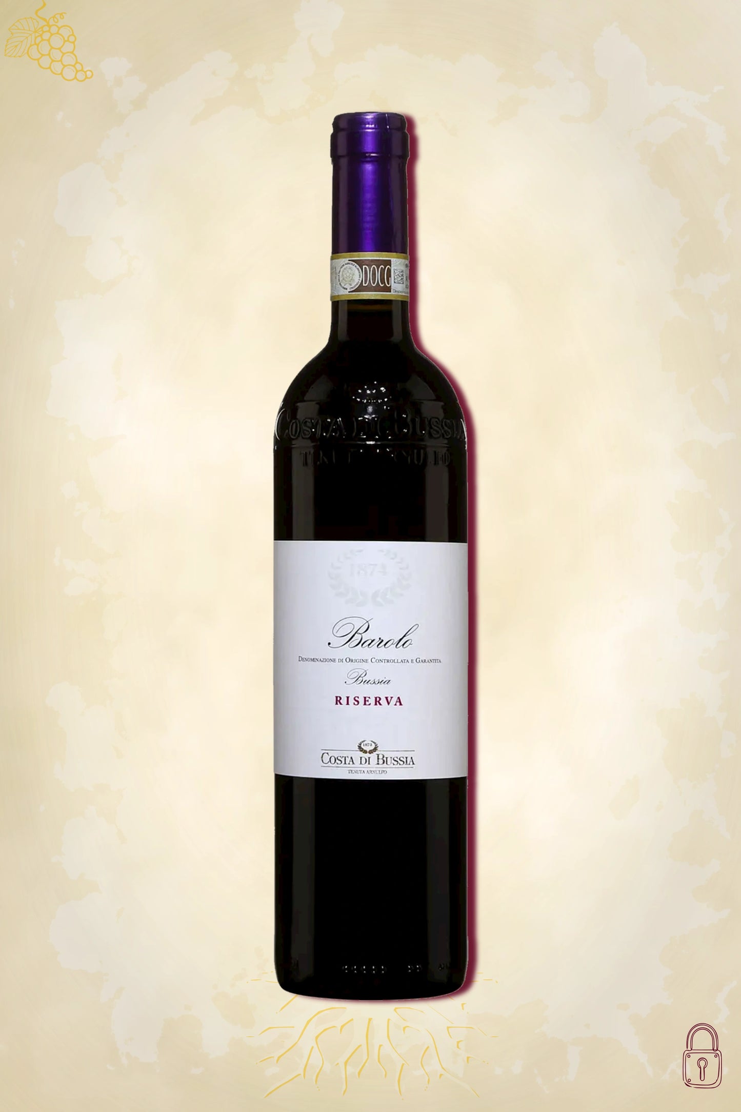 Costa di Bussia Barolo Riserva 2017 – rode wijn uit Piemonte, Italië