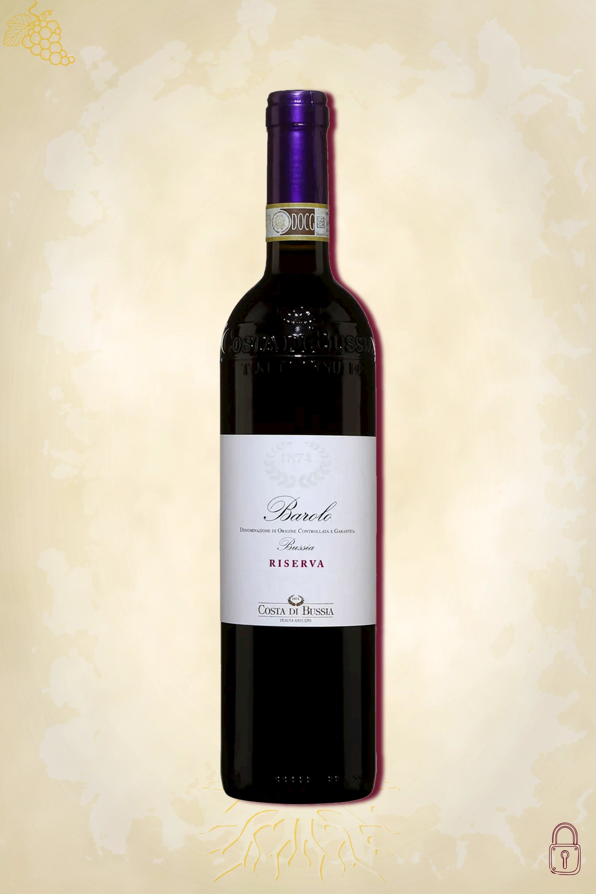 Costa di Bussia Barolo Riserva 2017 – rode wijn uit Piemonte, Italië